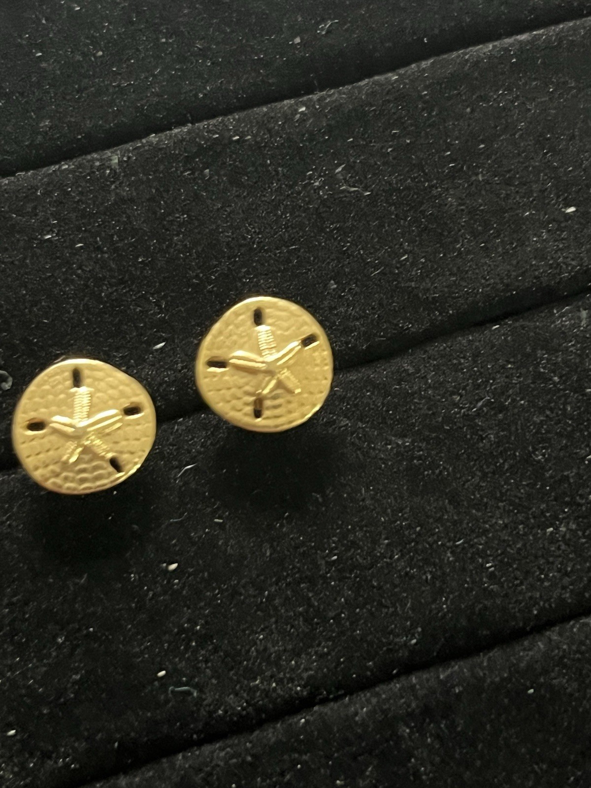 Beach Sand Dollar Gold Tone Star Stud Earrings Vintage Textured Shells Ocean