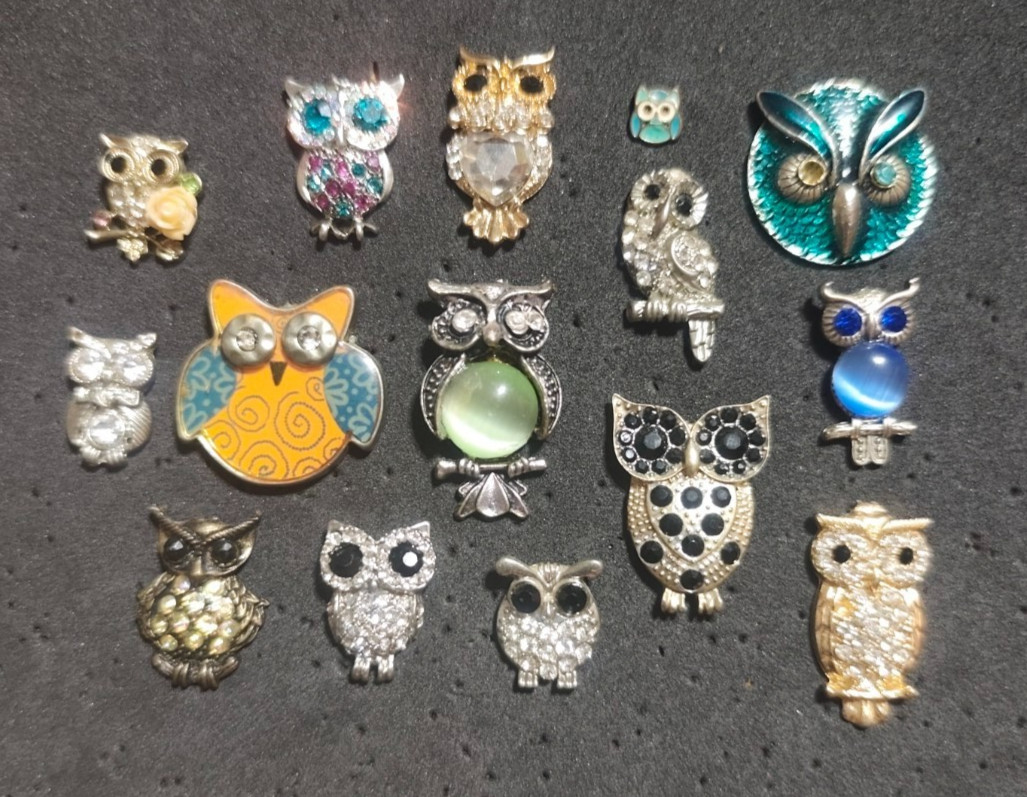 Vintage Owl Brooch Pin Lot 15 Pcs Rhinestone Enamel Cat Eye Glass Collectible Je