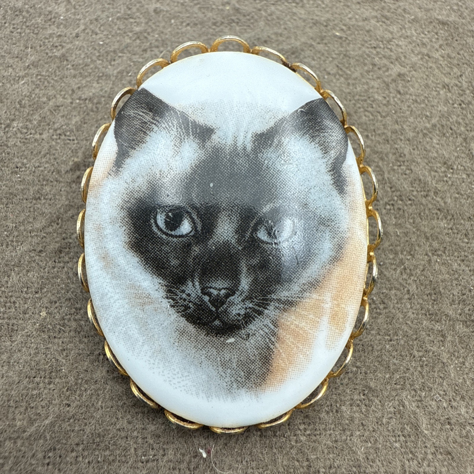 Vintage Porcelain Transfer Blue Eyed Cat Portrait Oval Pin Brooch