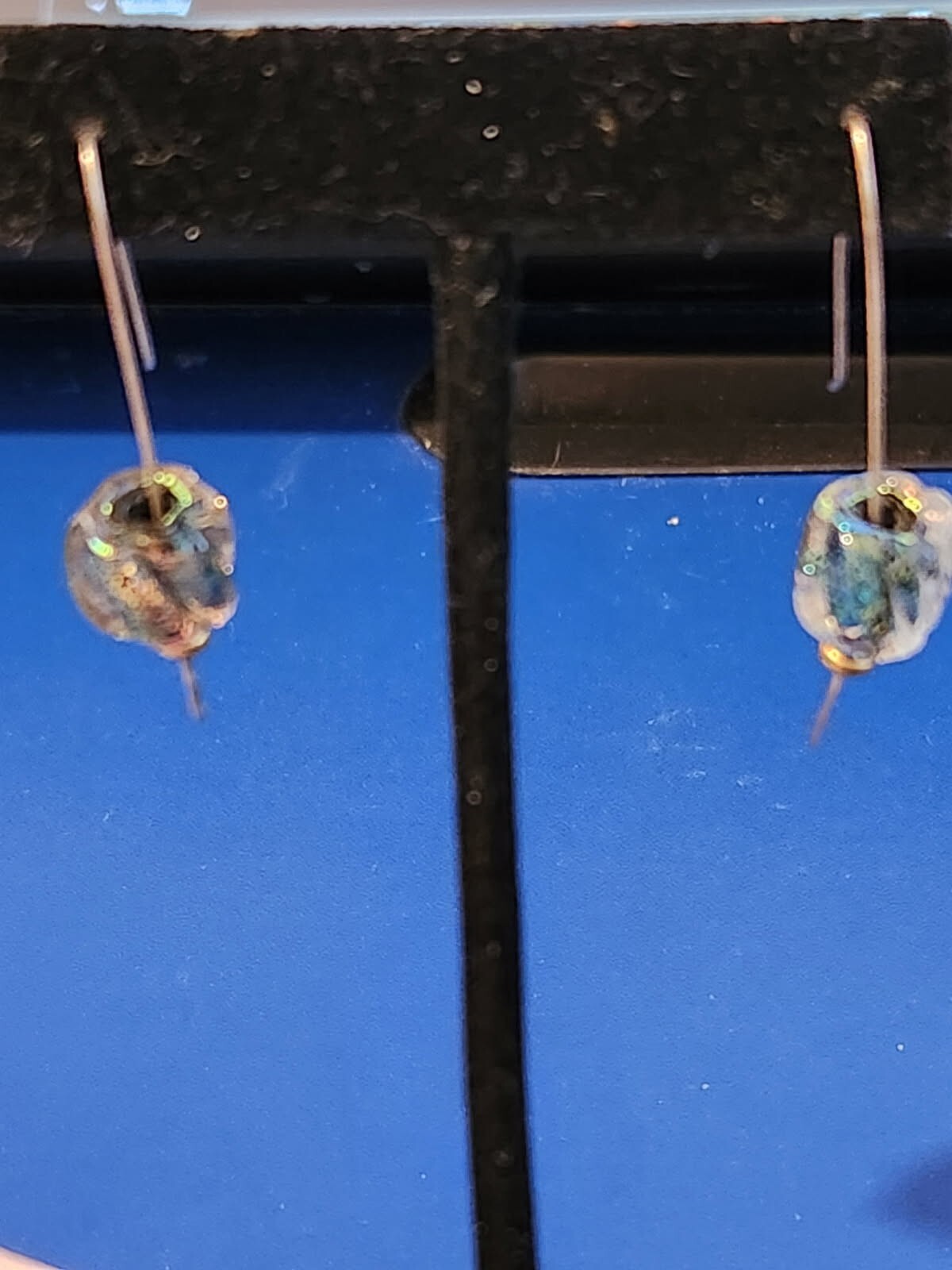 Sterling Silver Multicolor Glitter Stone Dangle Earrings