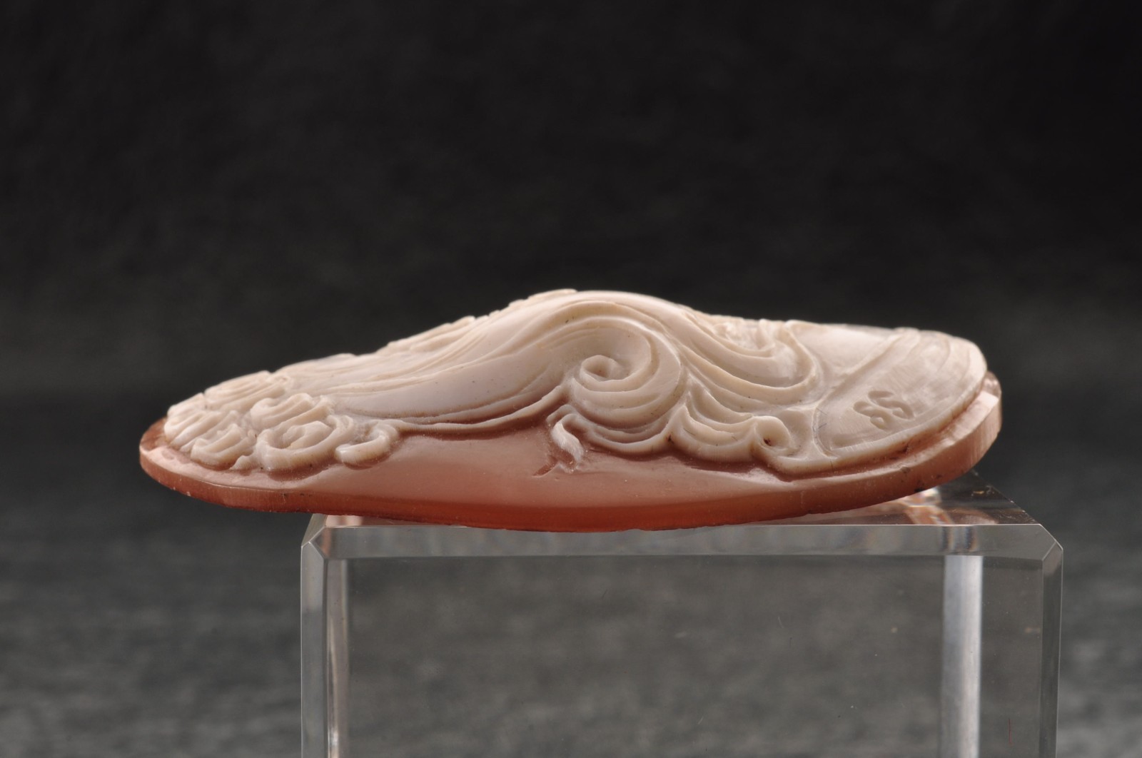 Vintage shell cameo, “The Girl with the Necklace” (60.0ct) sign by artist, Case.