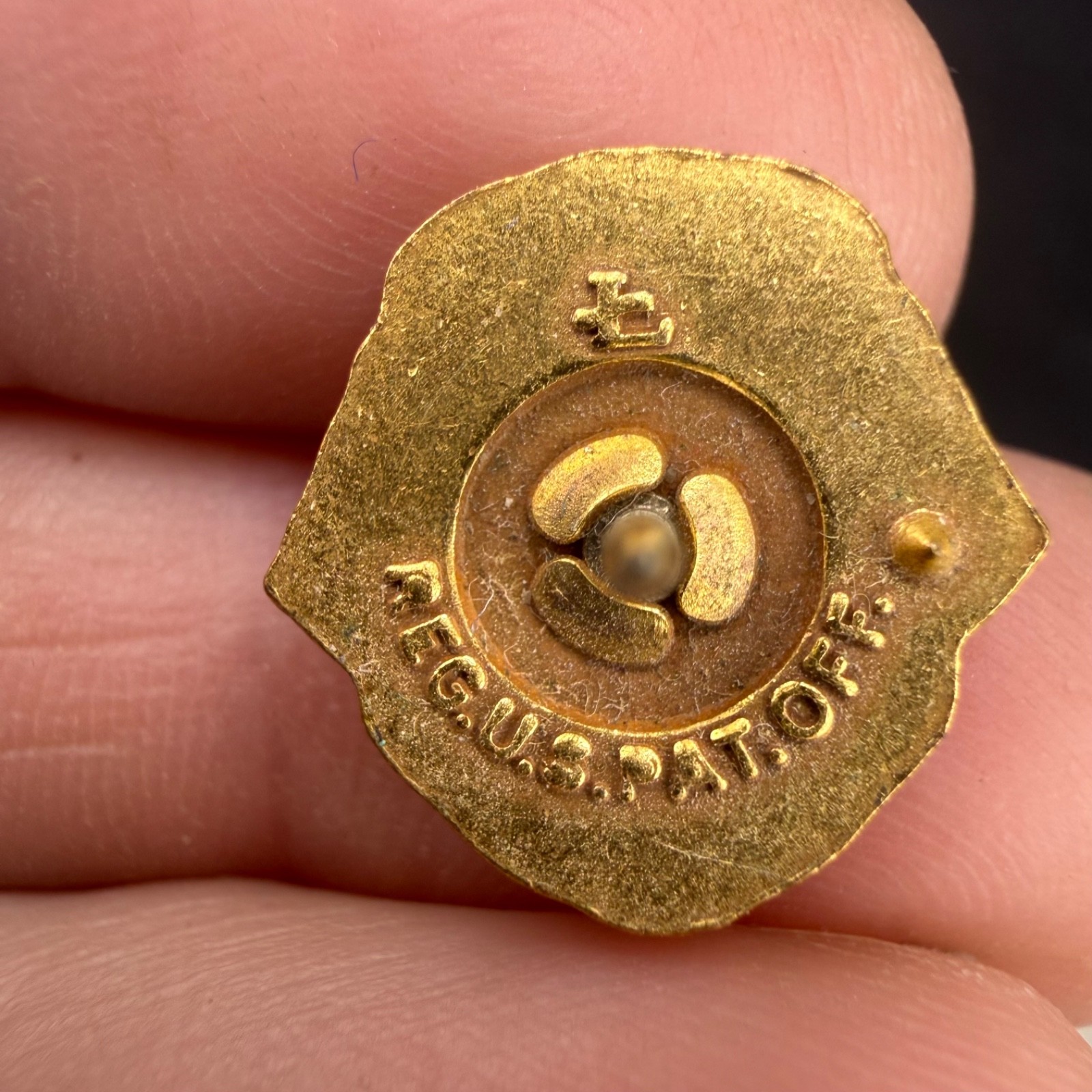 Vintage Lions Pin