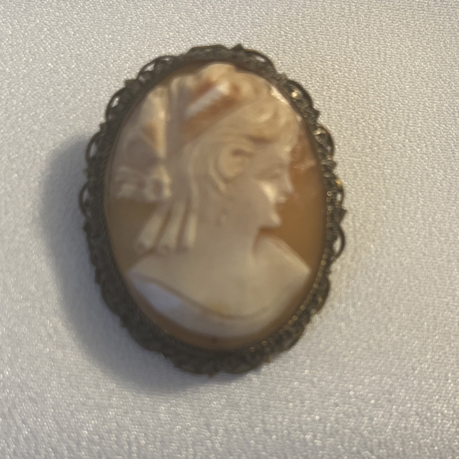 Vintage Hand craved Shell Cameo Brooch and Pin combo with filigree frame