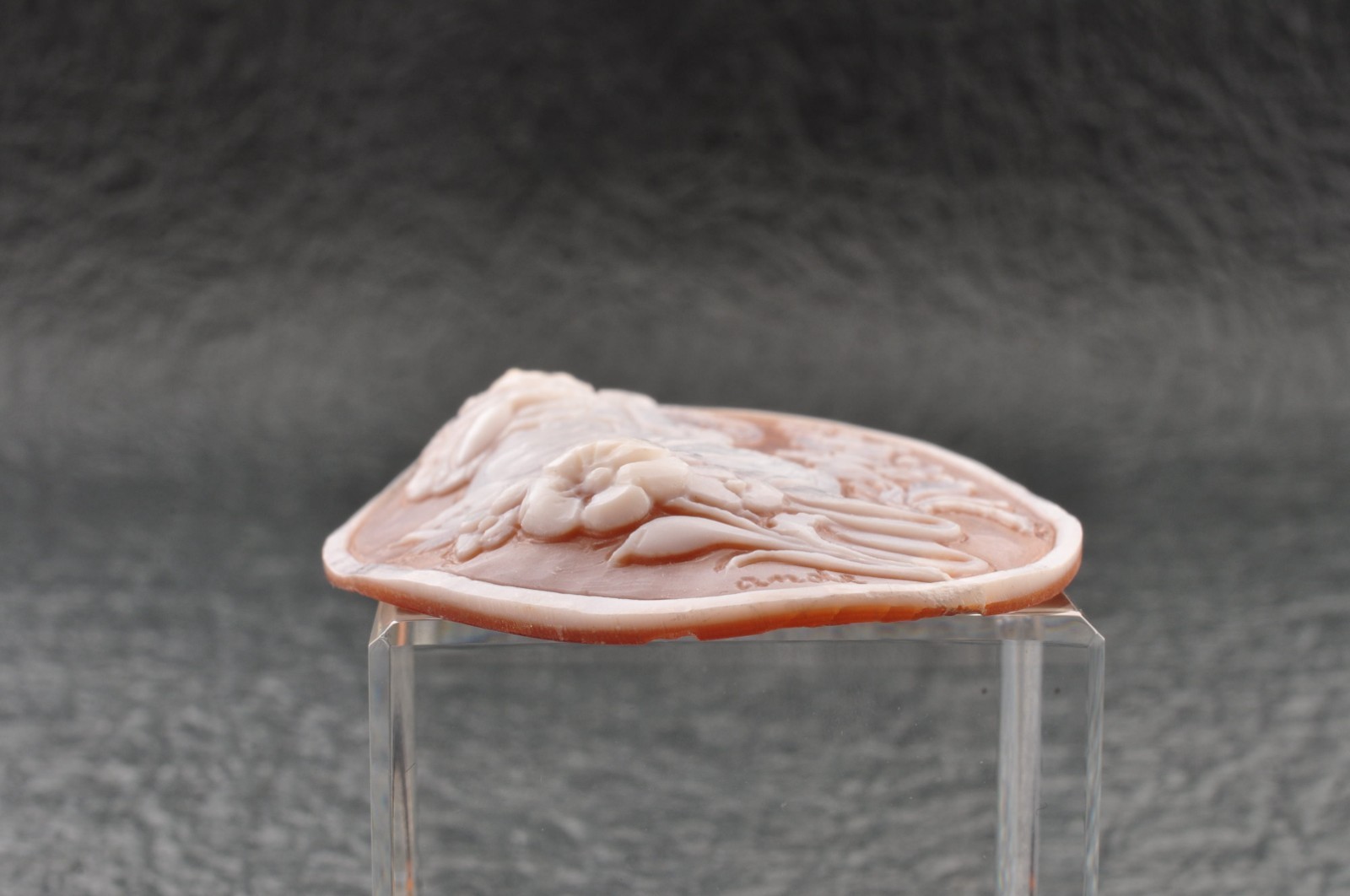 Vintage shell cameo carved “Woman drinking wine” (total 47.0ct) sign by artist.