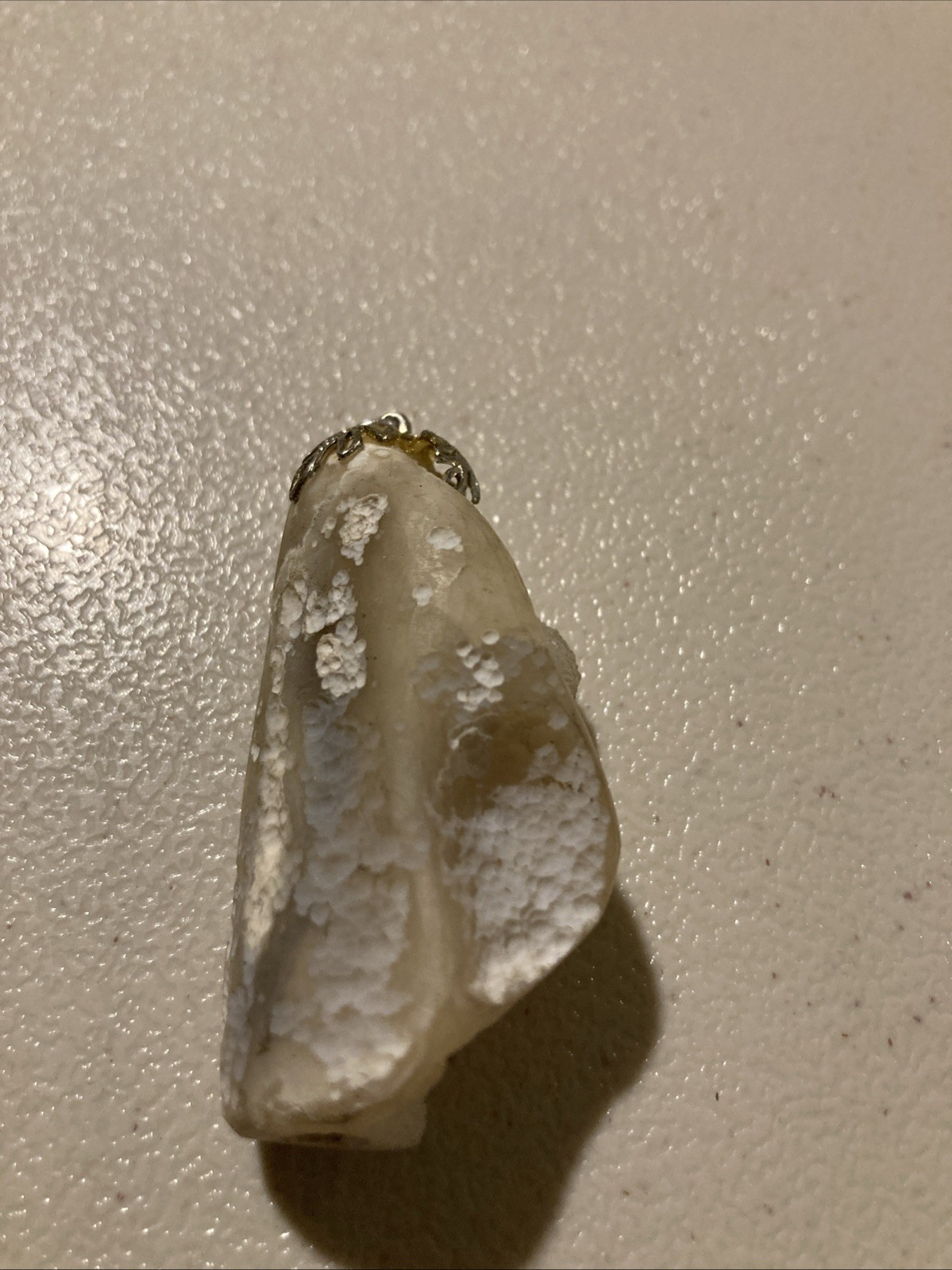 Antique white Coral Pendant Agatized Sparkle 20 Million Years Old