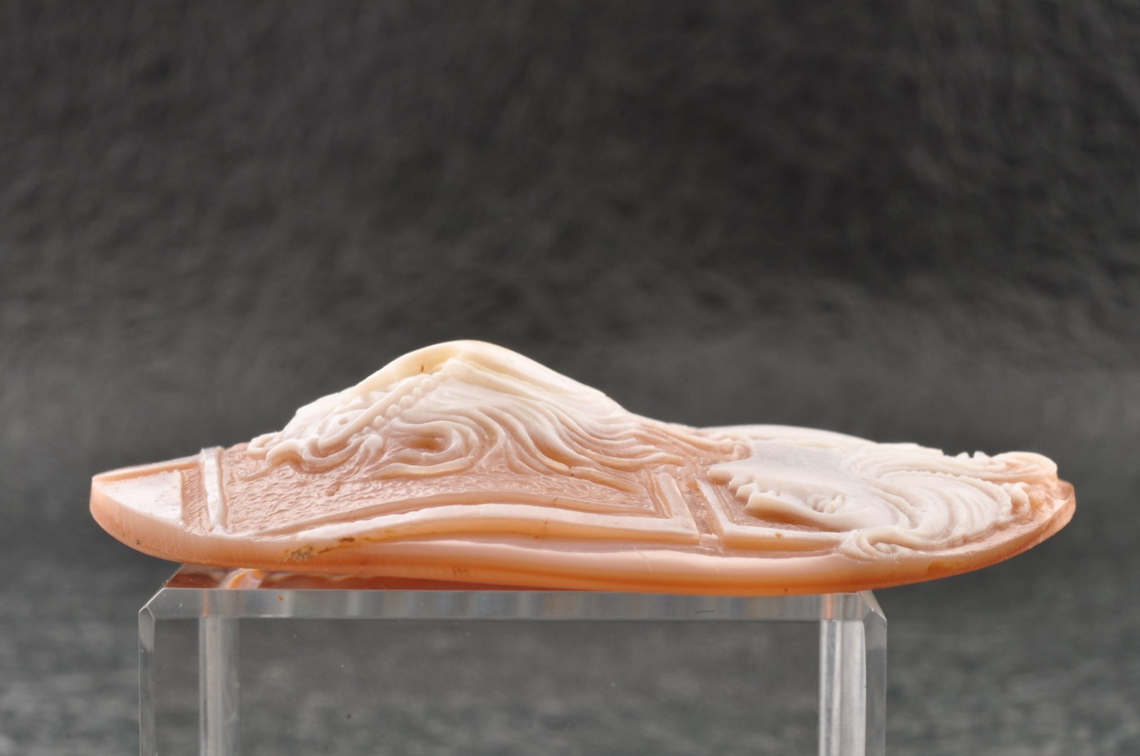 Vintage oval shape shell cameo “Two Girls” (64.0ct), sign by artist with case.