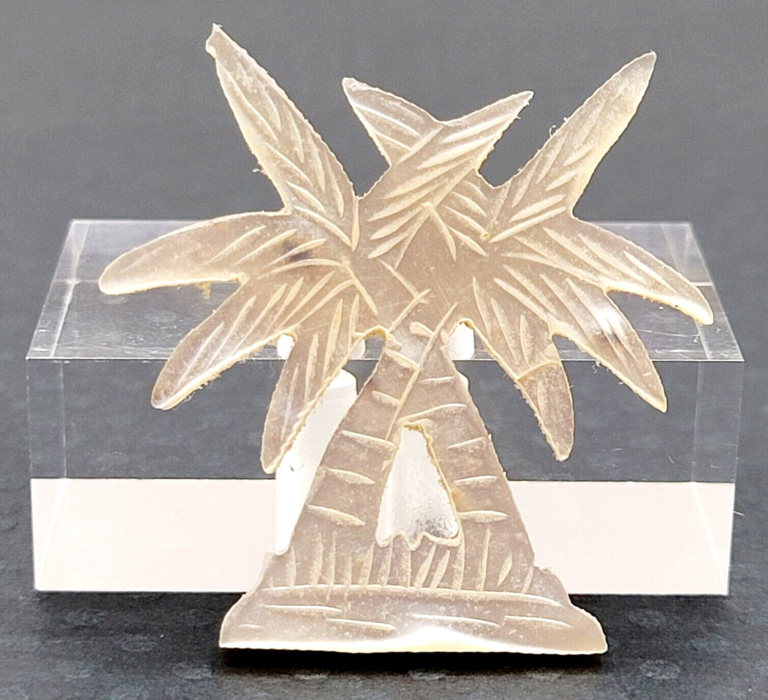 Palm Trees Carved MOP Mother of Pearl Shell Small Vintage Brooch Pin C Clasp