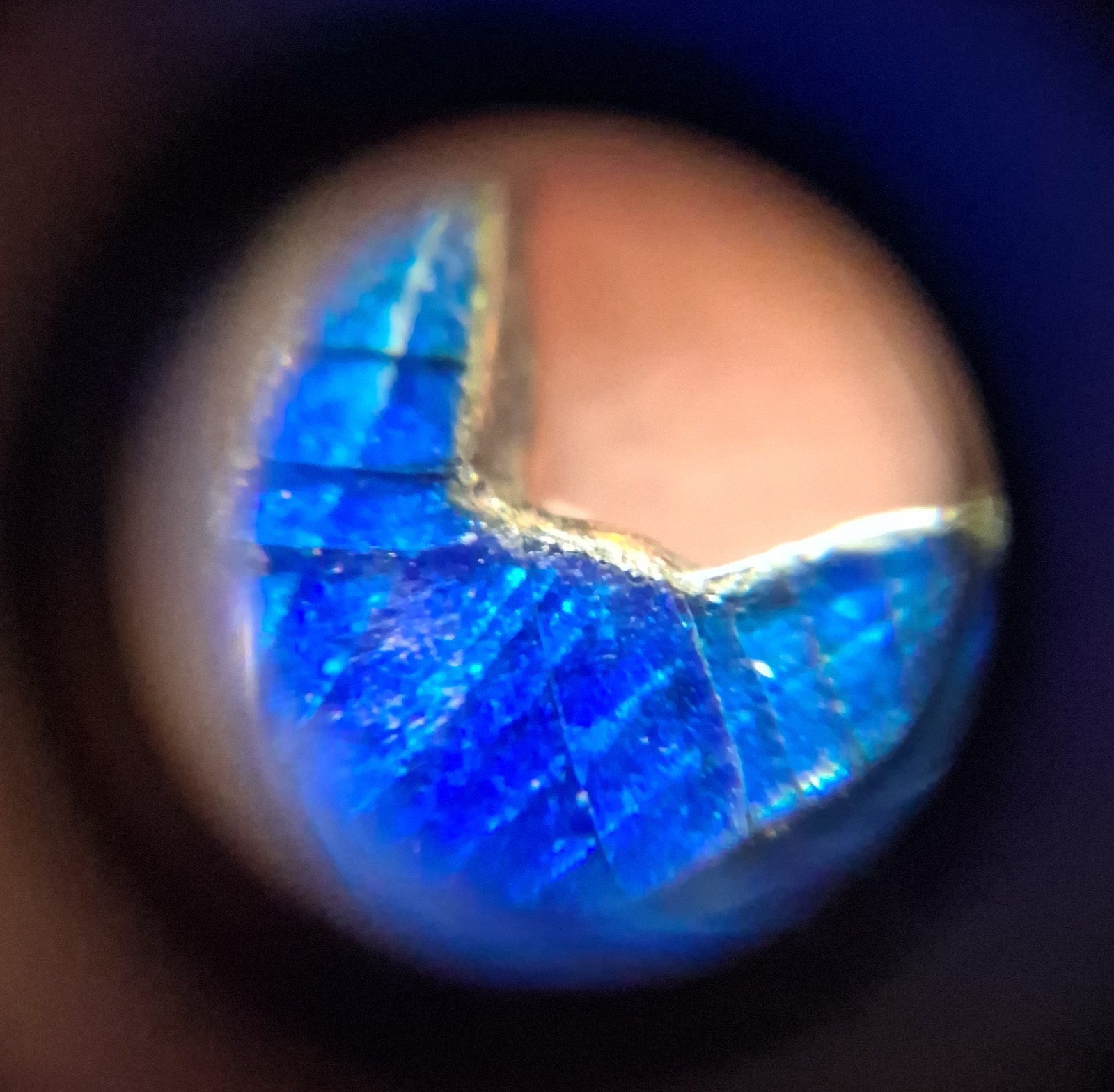 Antique Guilloche Enamel Bluebird Pin Brooch Slight Damage See Pics/Description