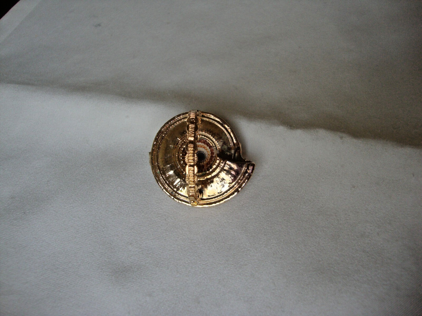 VTG HANDMADE NATURAL LACQUERED SEASHELL GOLD PLATED HINGED DRESS/SCARF CLIP