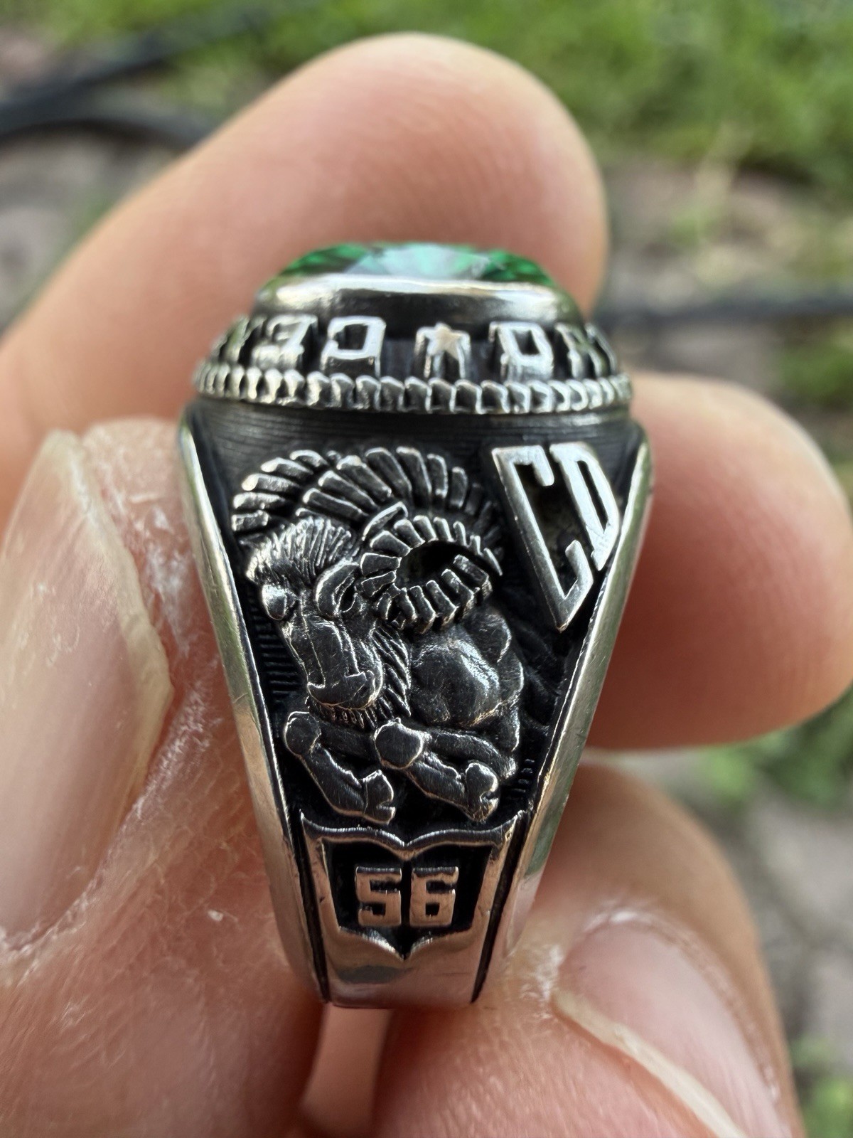 Central Dauphin Class Ring for women (24.5%palladium)