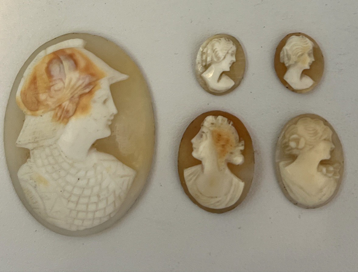 5 Antique Carved Shell Cameos Female Profile Unset