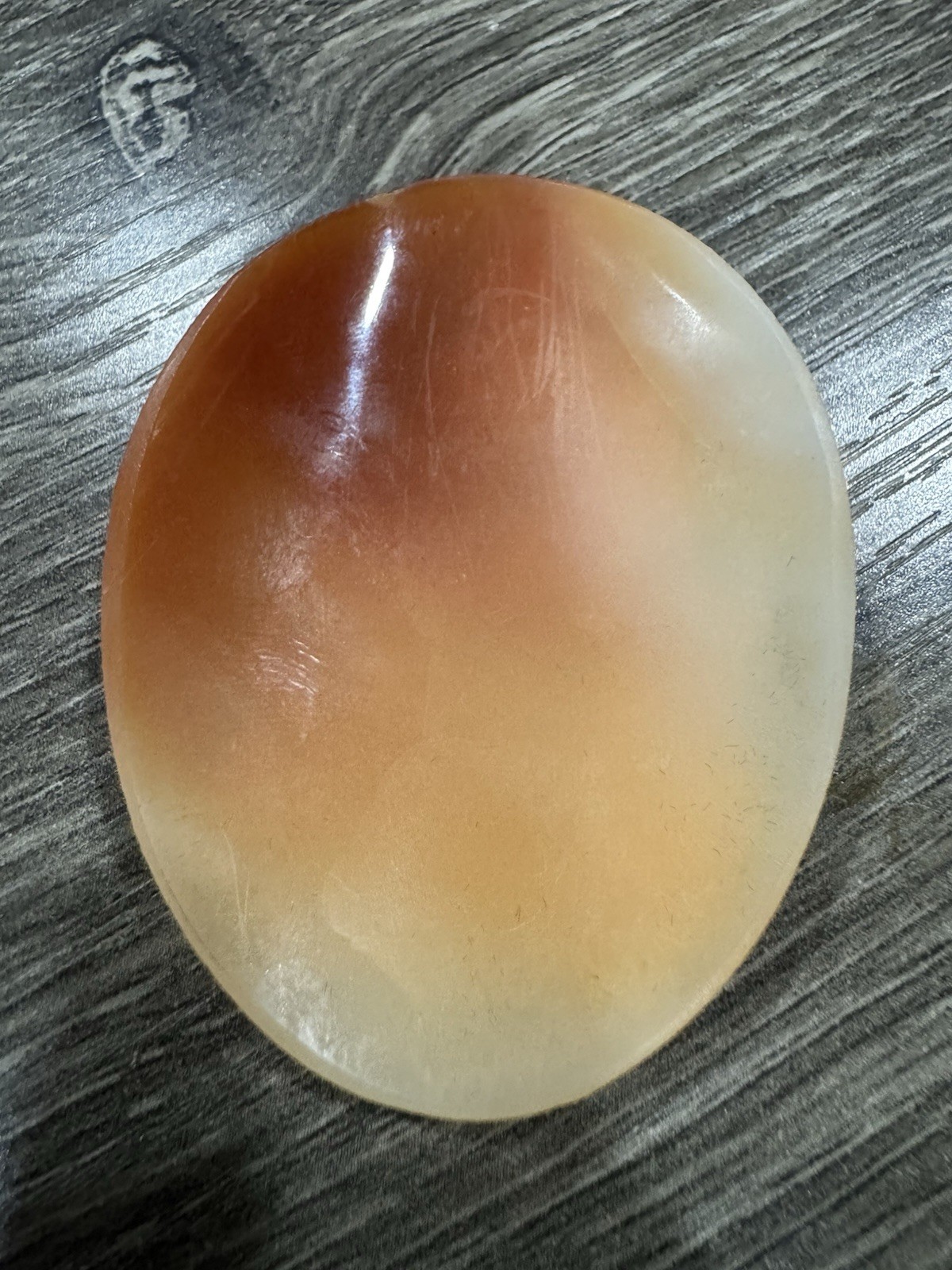 Pieta Shell Cameo