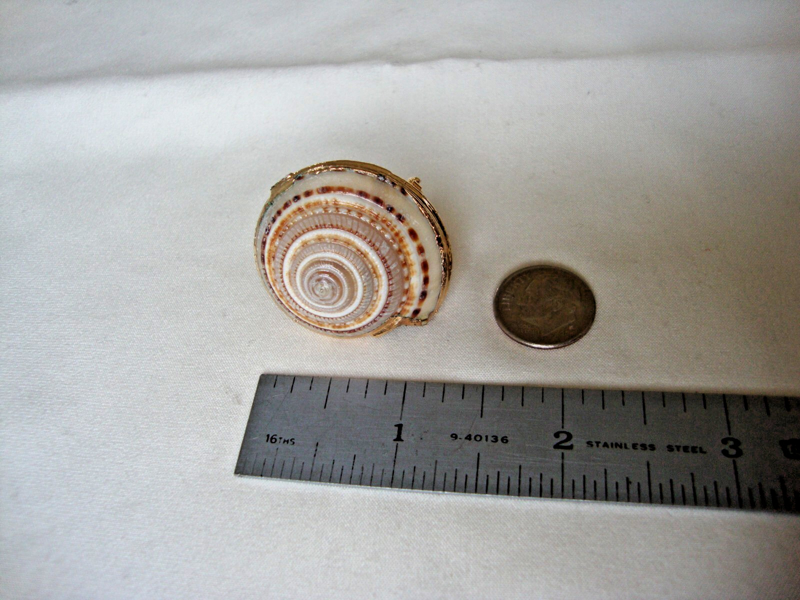 VTG HANDMADE NATURAL LACQUERED SEASHELL GOLD PLATED HINGED DRESS/SCARF CLIP