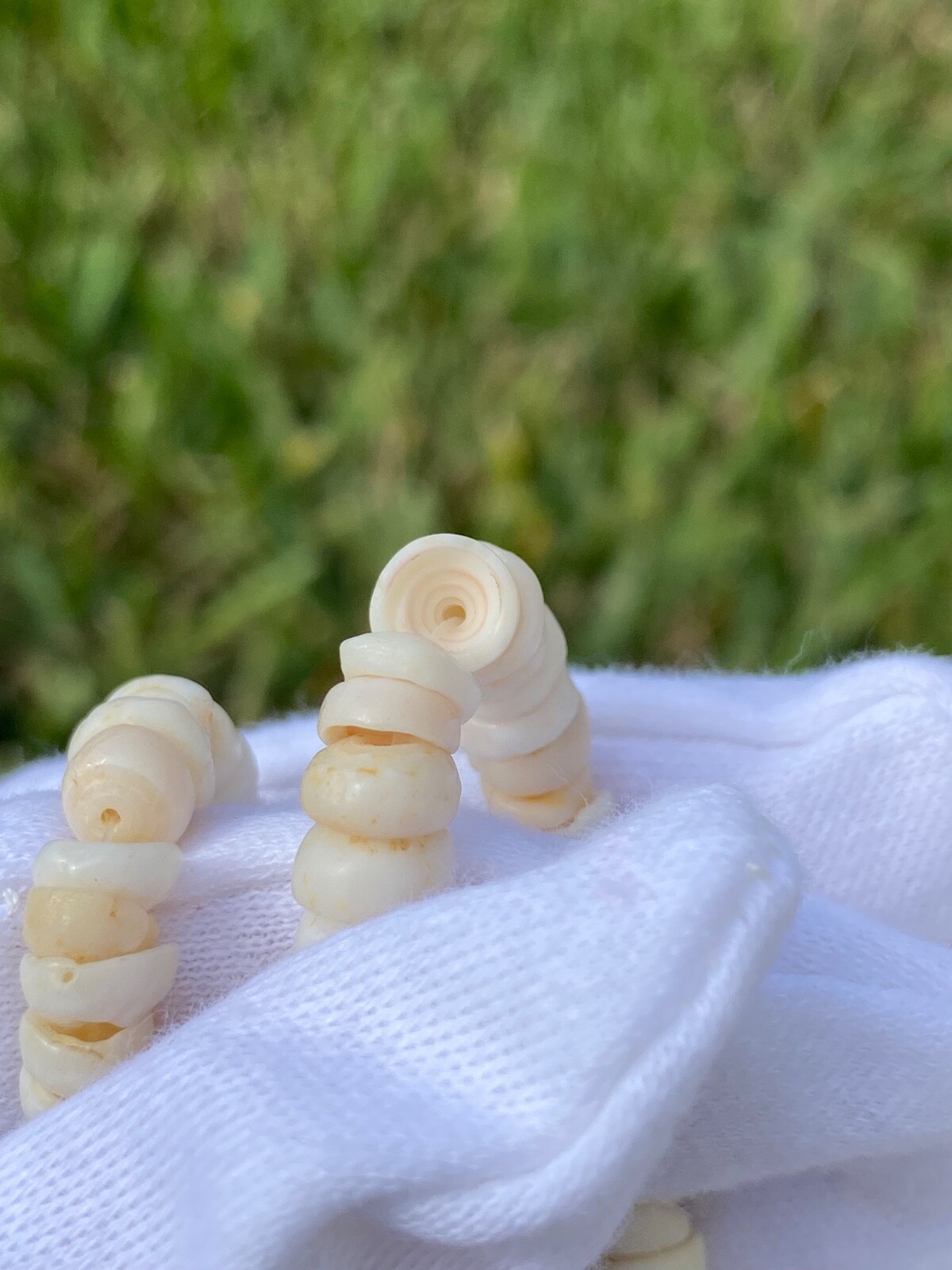 Vintage Hawaiian Surfer Puka Shell Bead Necklace Barrel Clasp 16.25 Inch 6.4mm