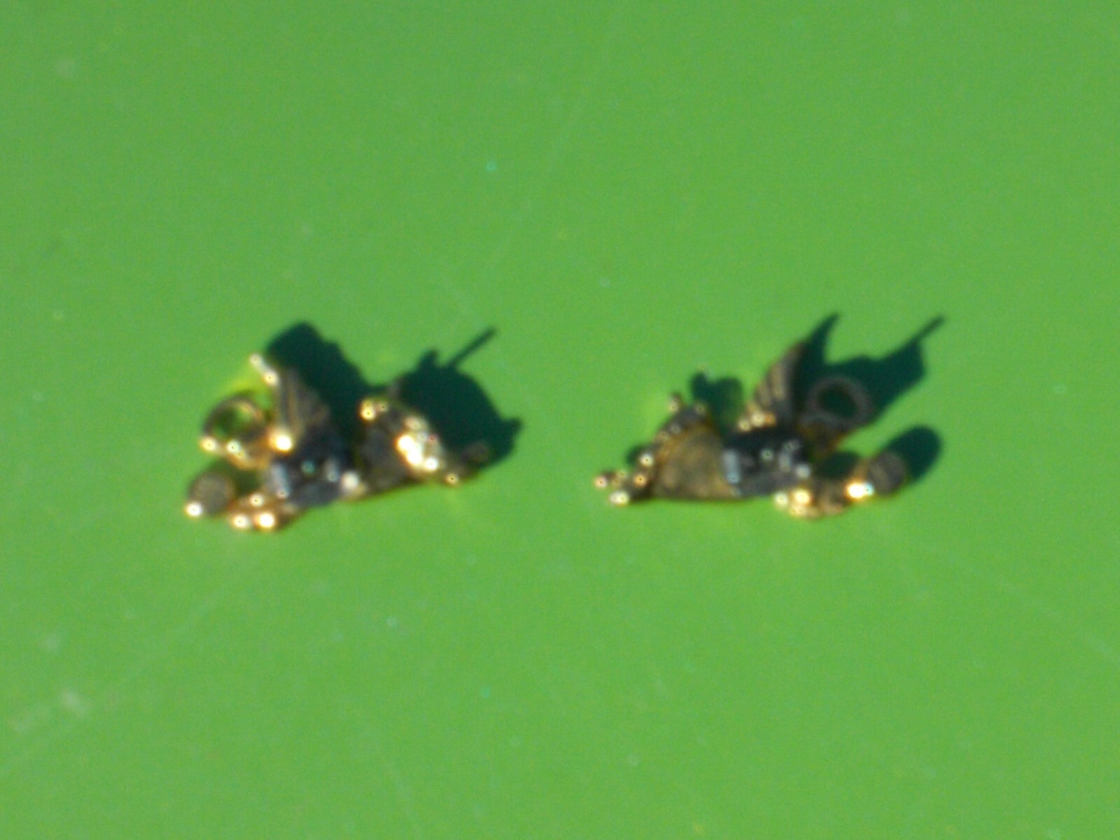 AVON VINTAGE ANGELS FLYING EARRINGS GOLD TONE FACETED CRYSTAL .75″ HOLIDAYS STUD