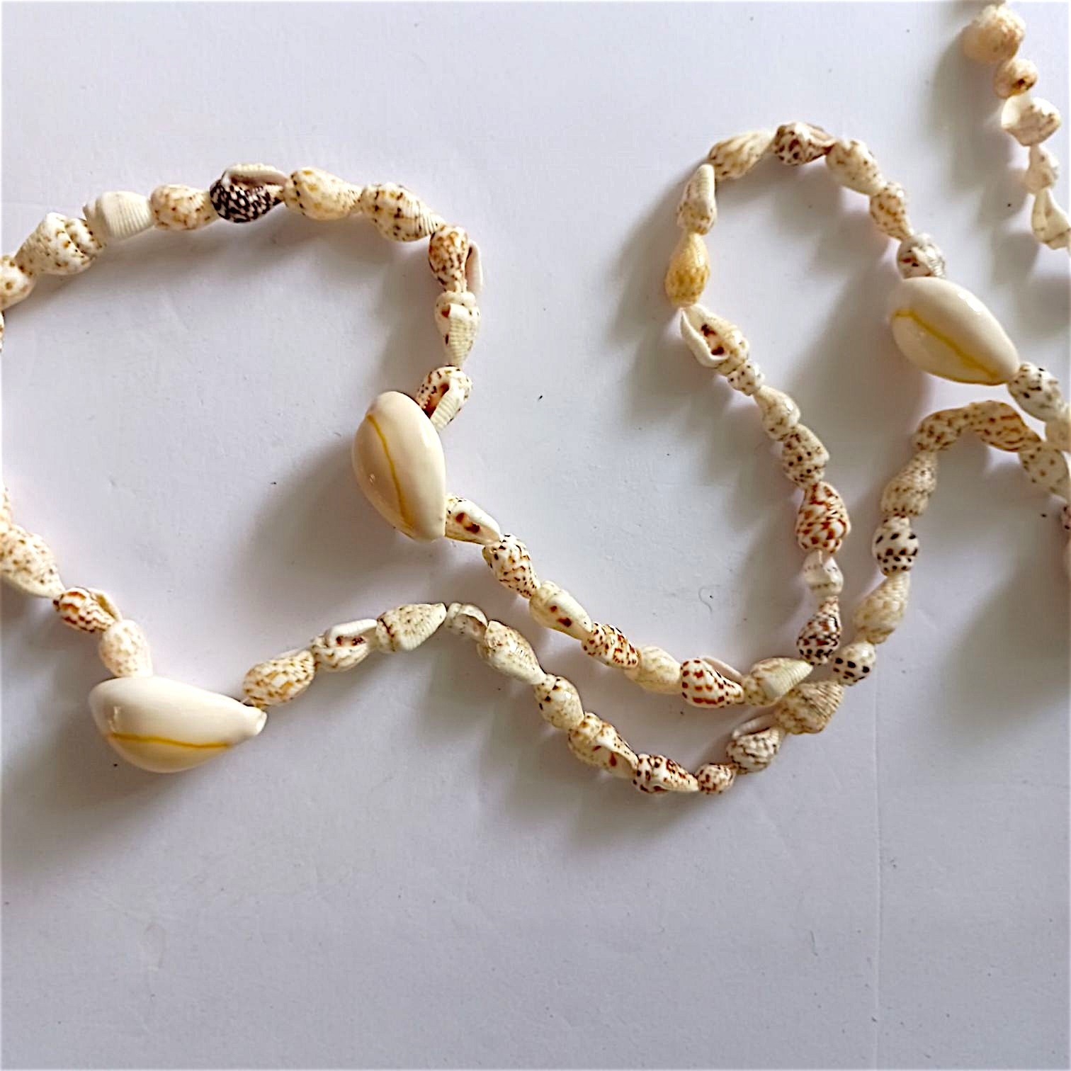 Vintage Cowrie Momi Shell Necklace Strand Hawaiian Lei Beachy Coastal Tropical