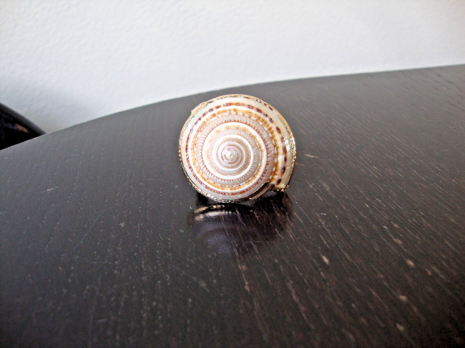 VTG HANDMADE NATURAL LACQUERED SEASHELL GOLD PLATED HINGED DRESS/SCARF CLIP
