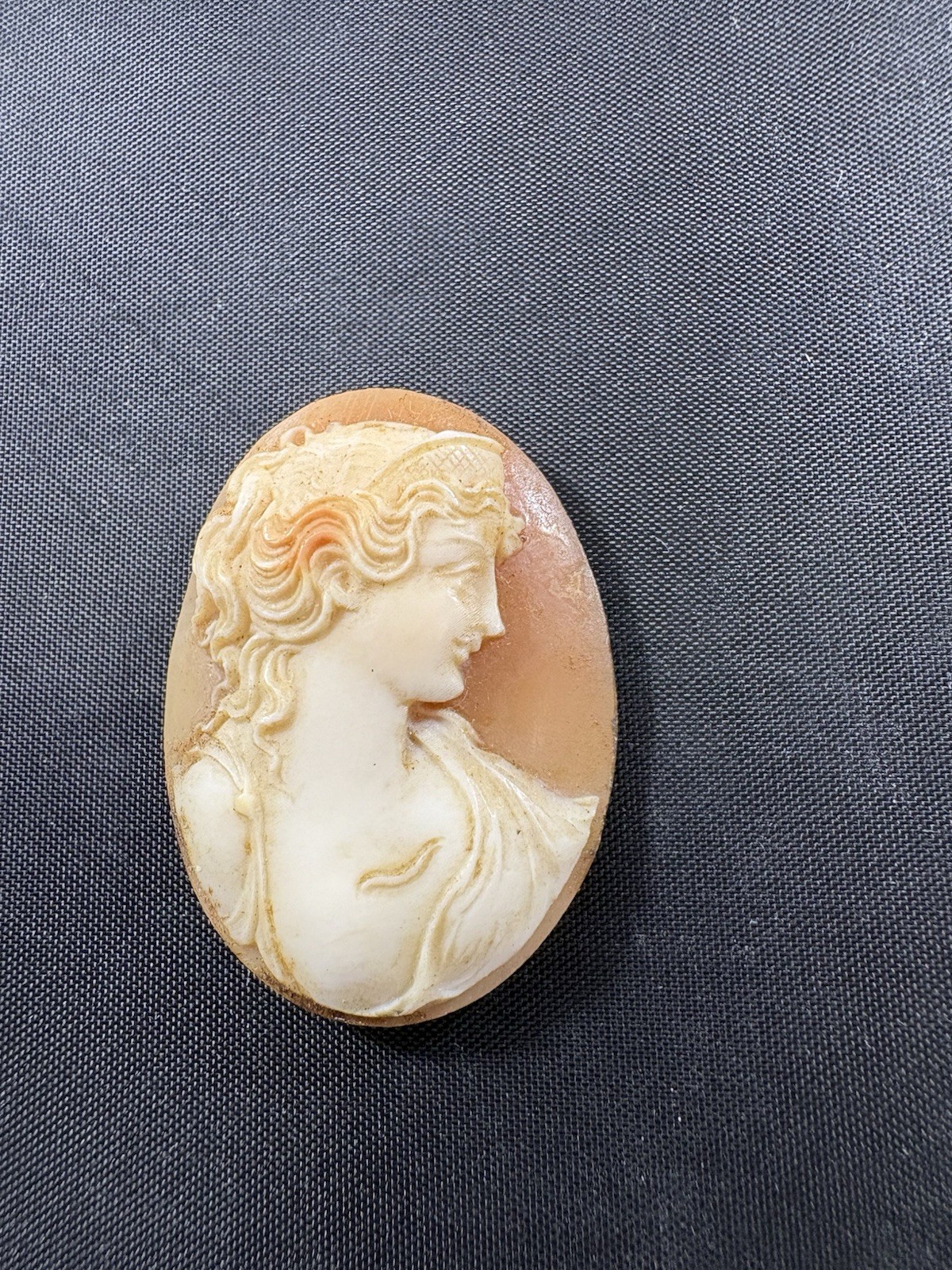 Antique Hand Carved Shell Cameo Of High Relief Bust Of A Woman In Profile
