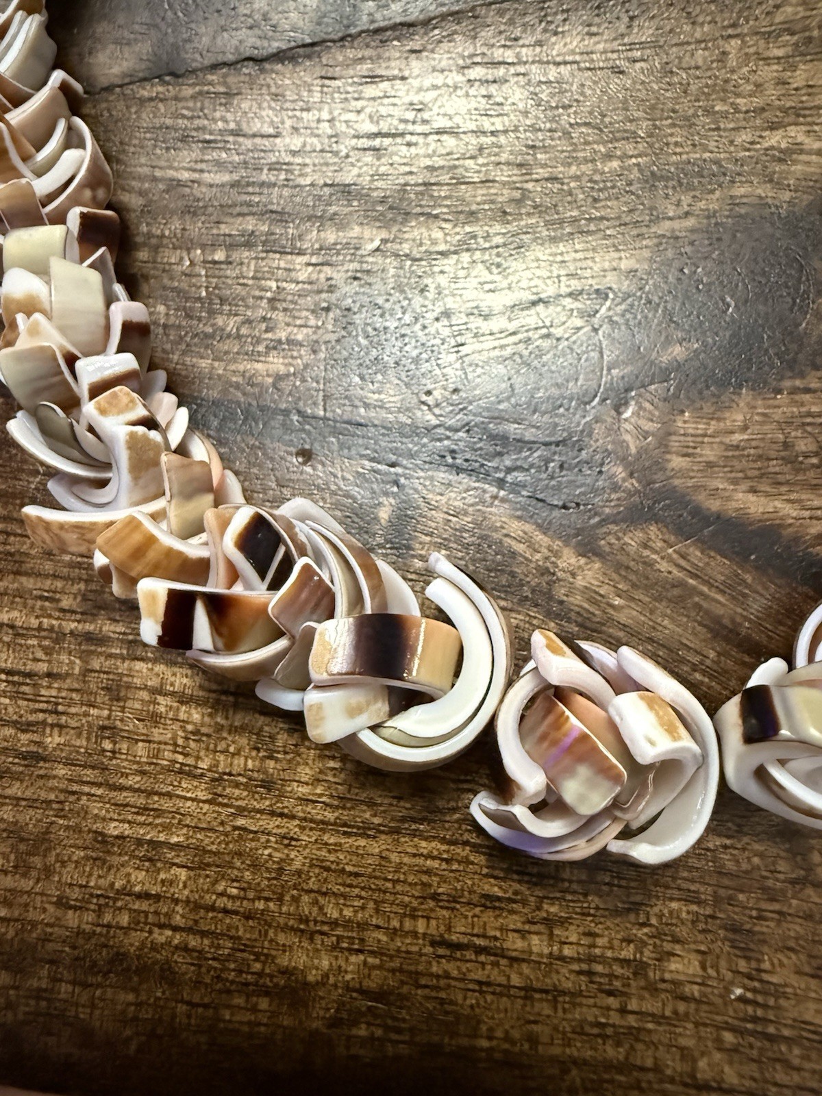 Striking Vintage Multicolor Shell Slice Hawaiian Necklace for Beach/Summer, 20”
