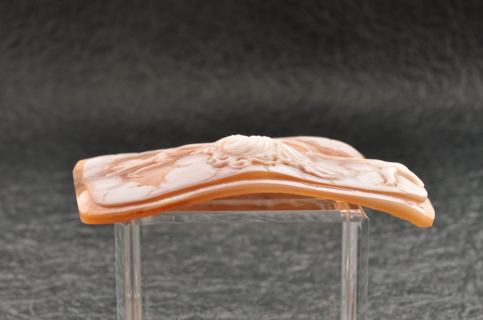 Vintage square shell cameo “Angels and goddesses”, (77.0ct) sign by artist box.