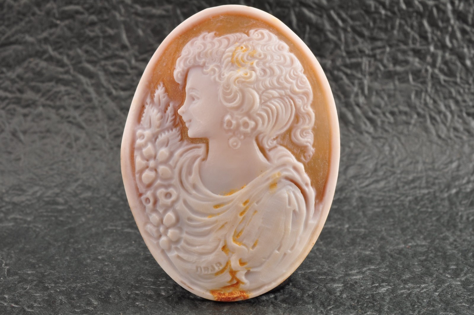 5 items , vintage shell cameo White and brown color (Total 327.0ct) with case.