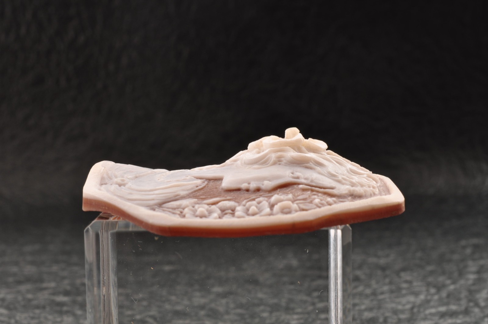 Vintage shell cameo “Girl with a flower hair ornament”, (65.0ct) sign by artist.