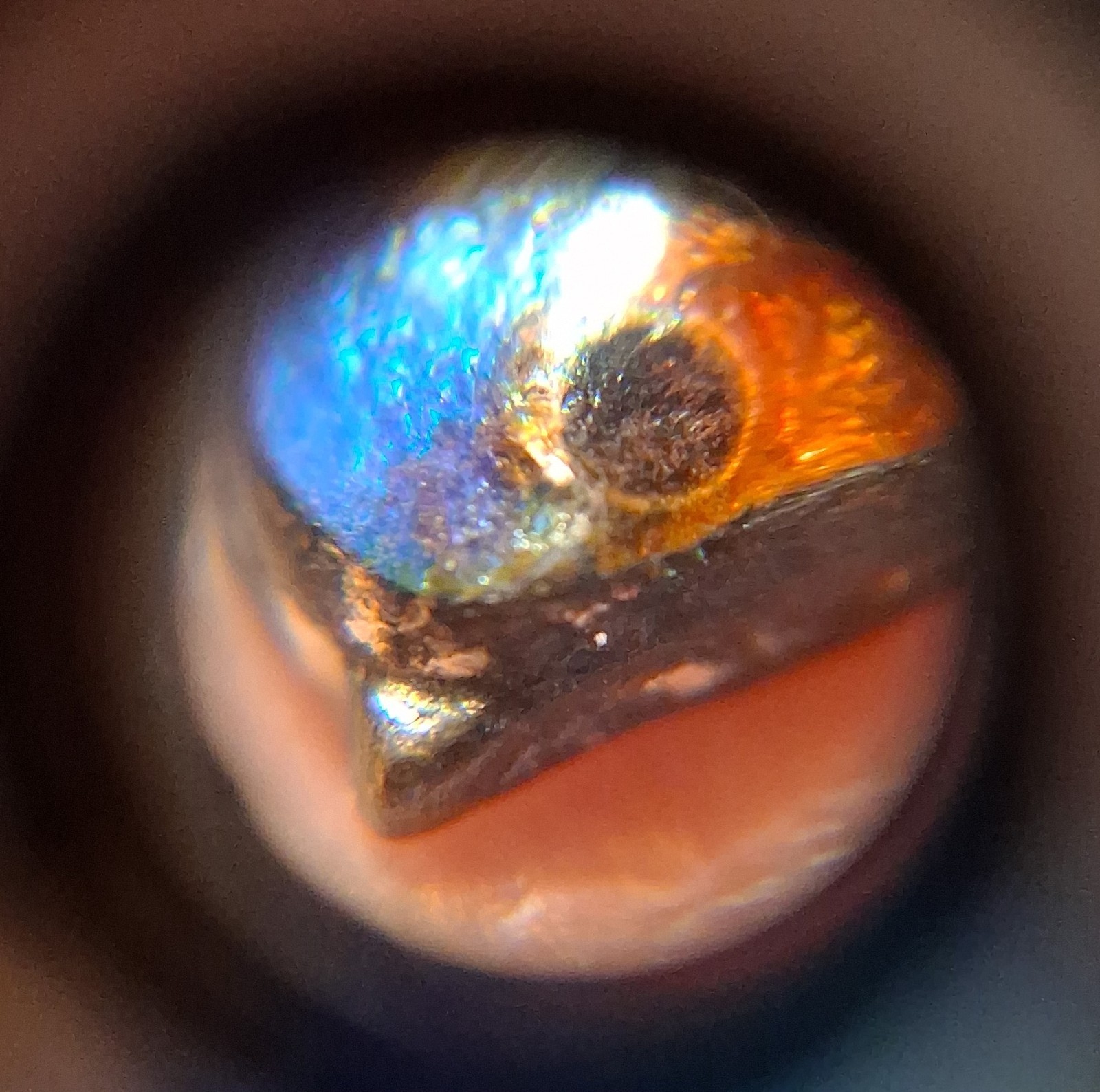 Antique Guilloche Enamel Bluebird Pin Brooch Slight Damage See Pics/Description