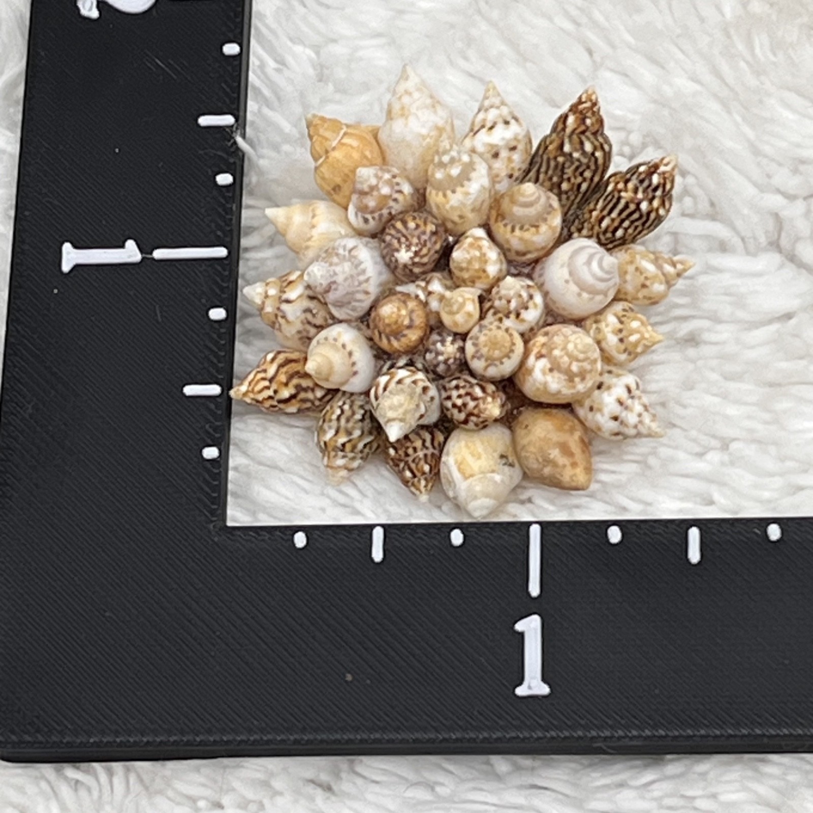 Vintage Sea Shell Jewelry Set Brooch Clip On Earrings Beach Mermaid