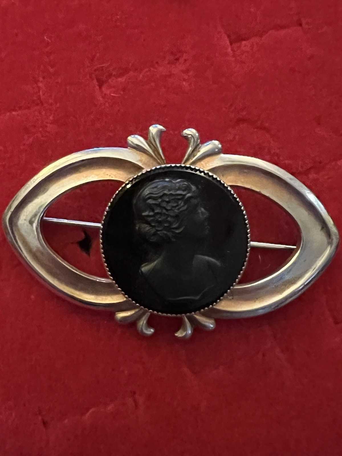 Vintage Cameo Brooch Collection