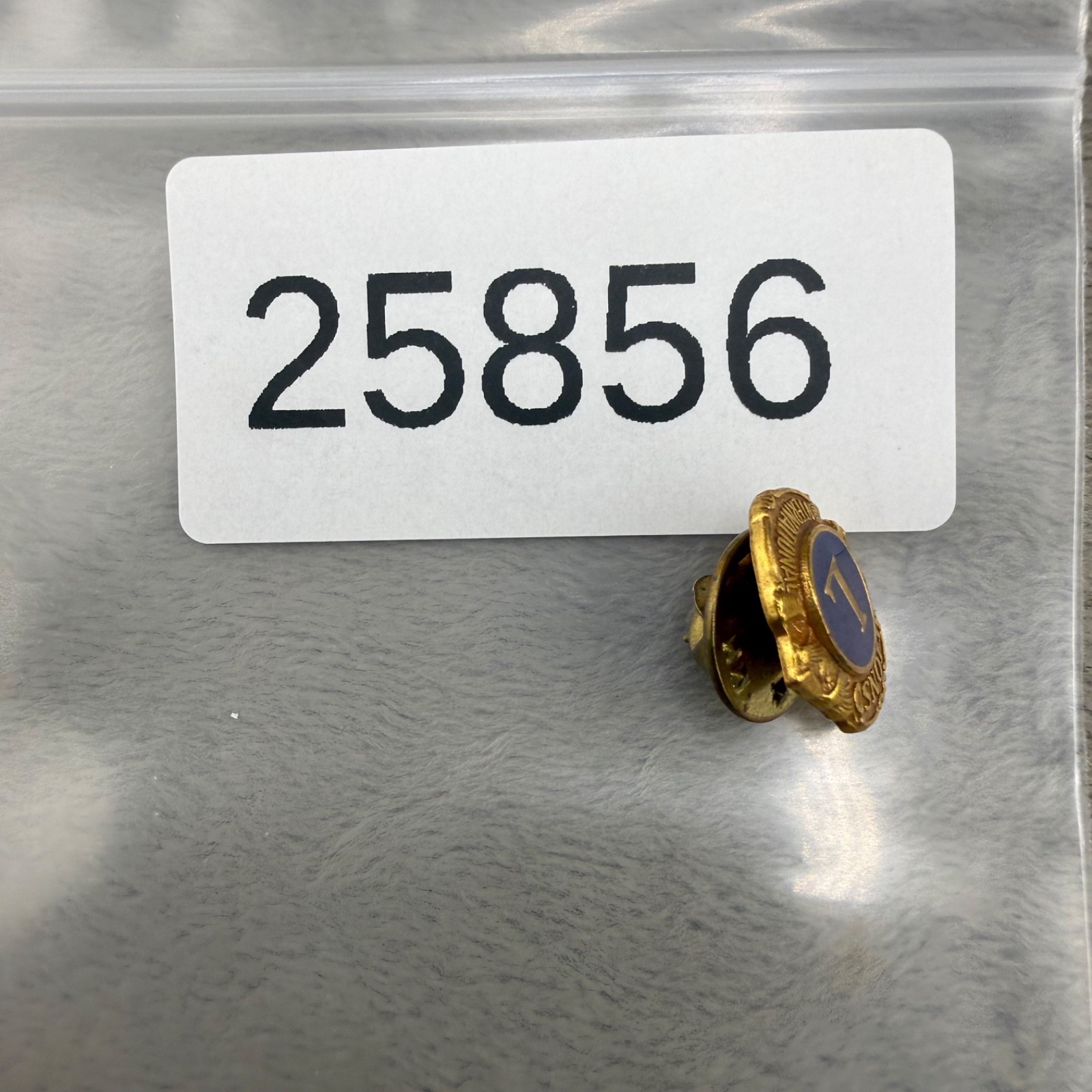 Vintage Lions Pin