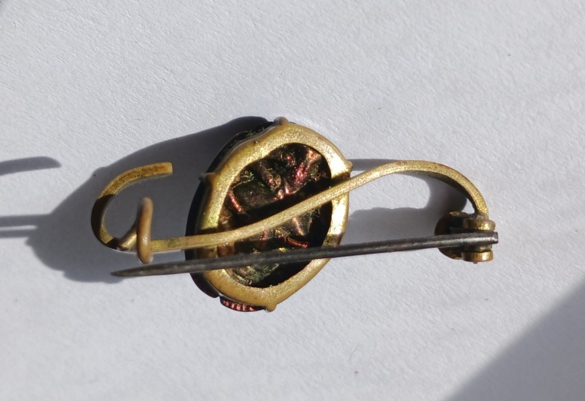 Antique Egyptian Revival Scarab Jewelry Real Scarab Beetle Bar Pin