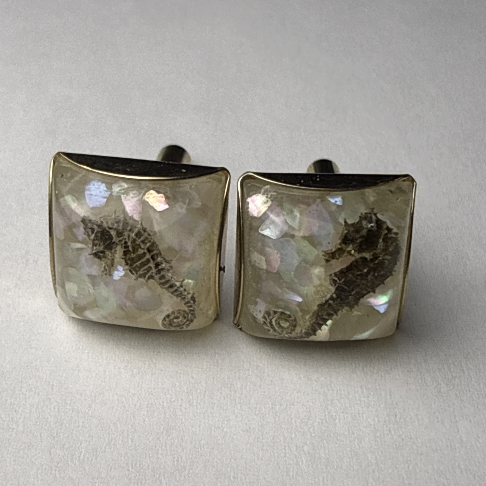 Rare 1960s Genuine Seahorse Confetti Lucite Domed Cuff Links-aquatic Sea Life