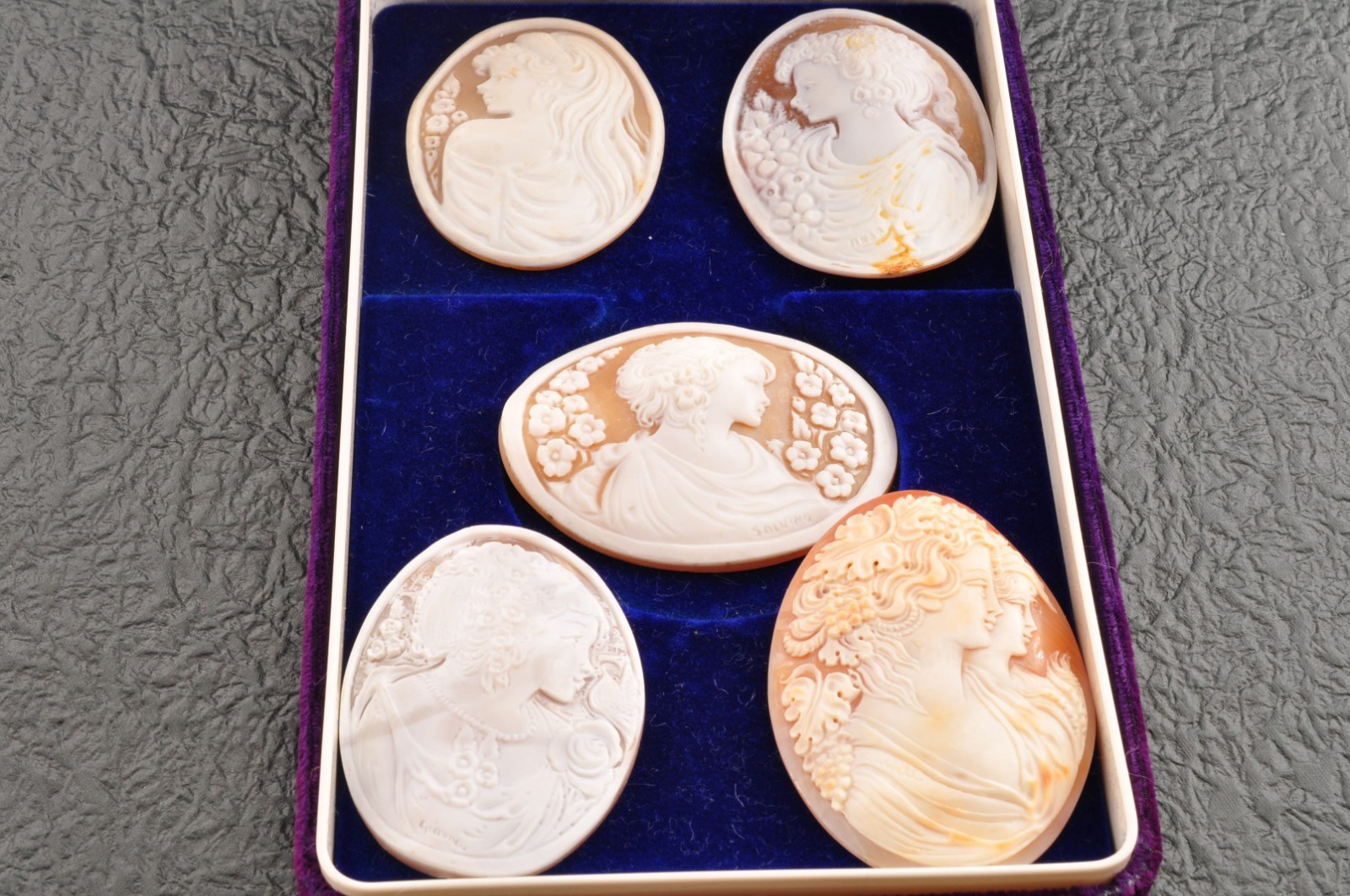 5 items , vintage shell cameo White and brown color (Total 327.0ct) with case.