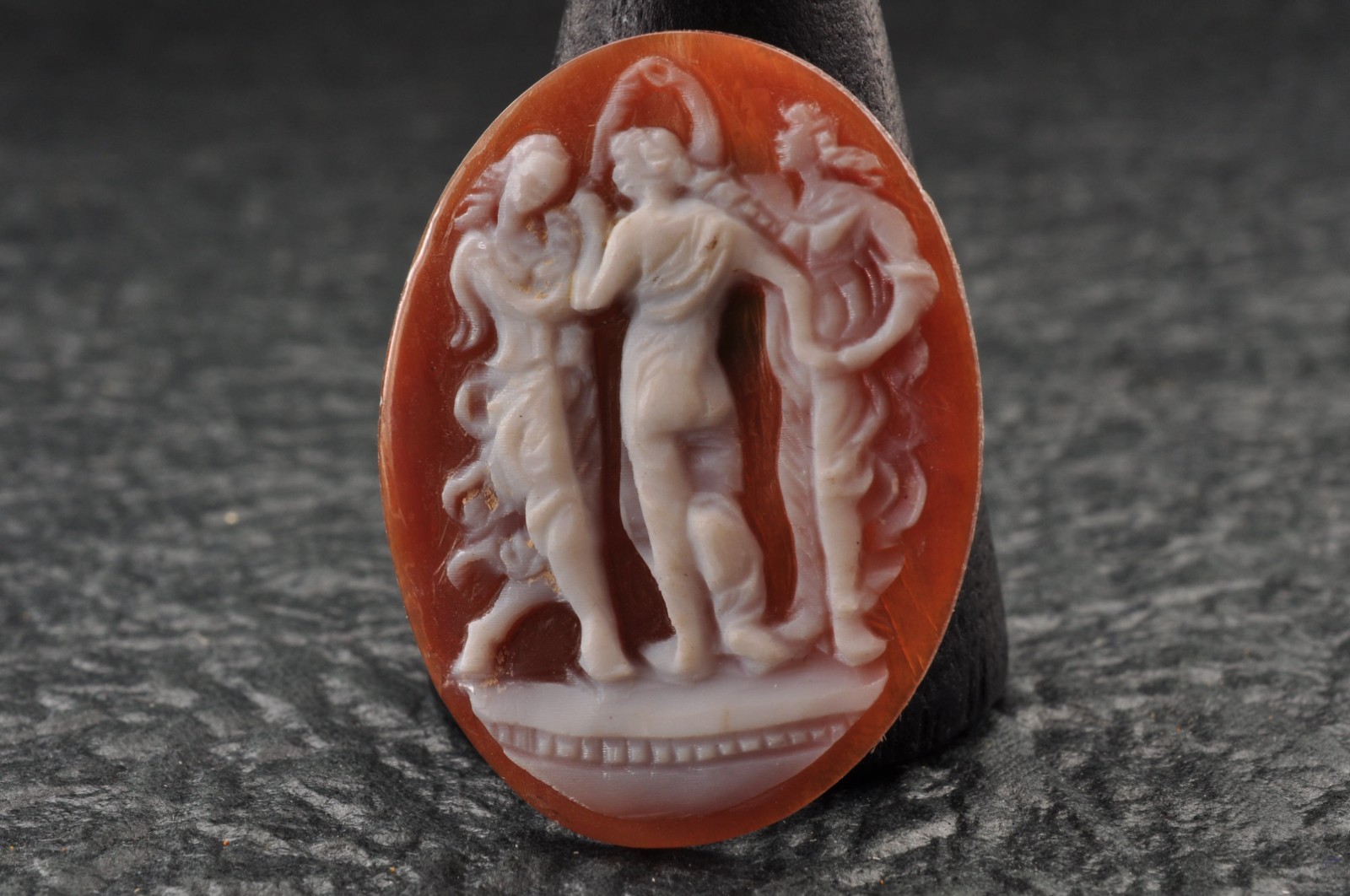 7items , vintage shell cameo White and brown color (Total 241.0ct) with case.