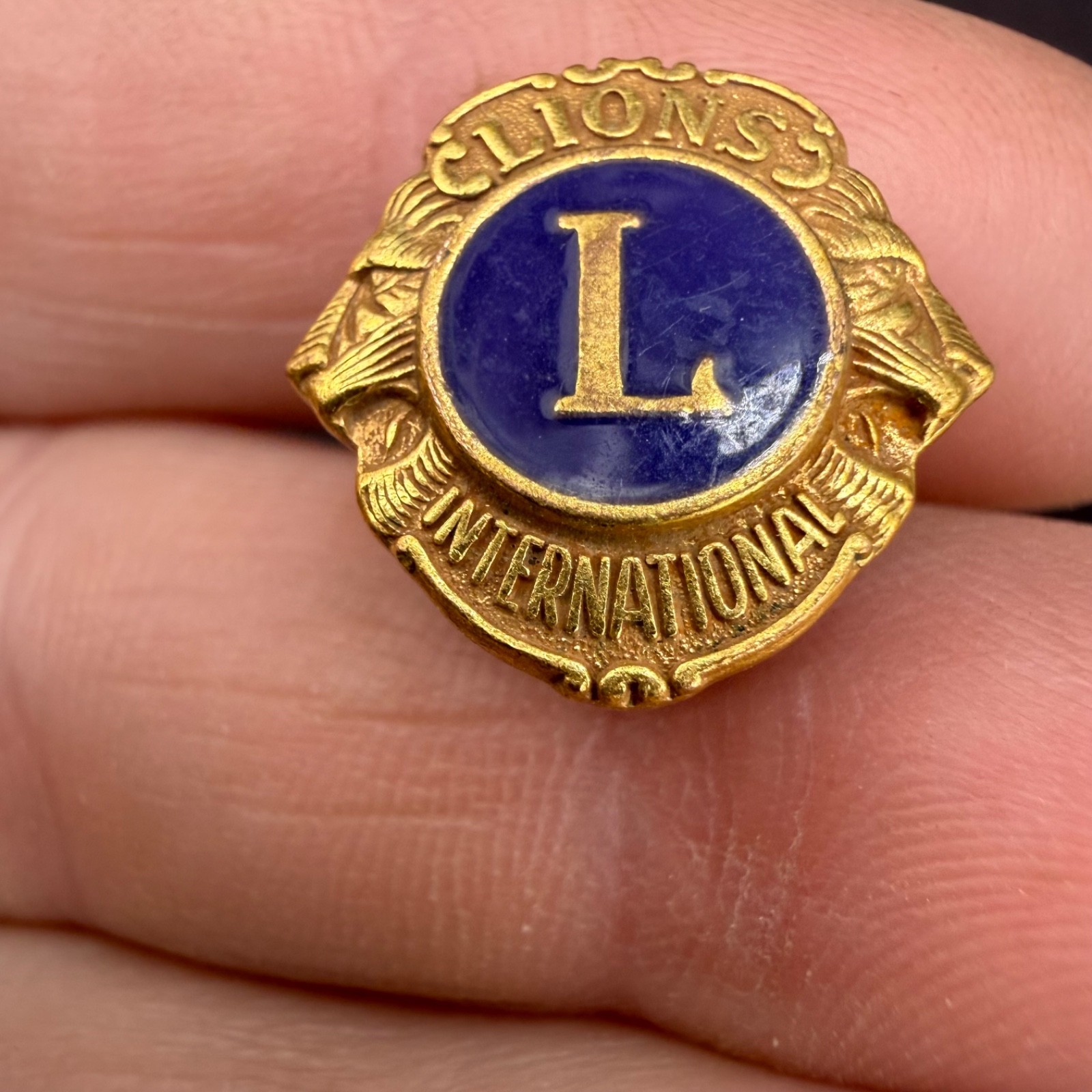 Vintage Lions Pin