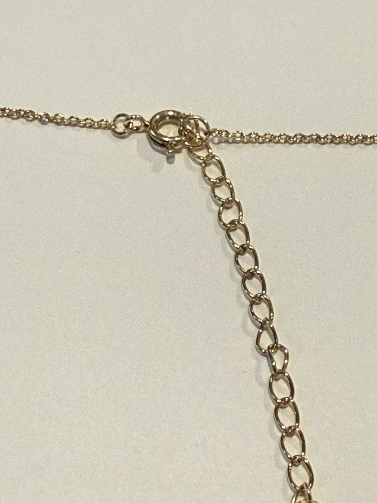 Vintage Sterling Forever Rose Pendant Necklace Gold Tone Dog Tag 18″ Adjustable