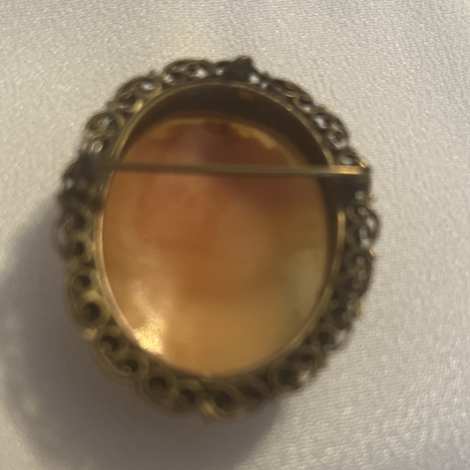 Vintage Hand craved Shell Cameo Brooch and Pin combo with filigree frame