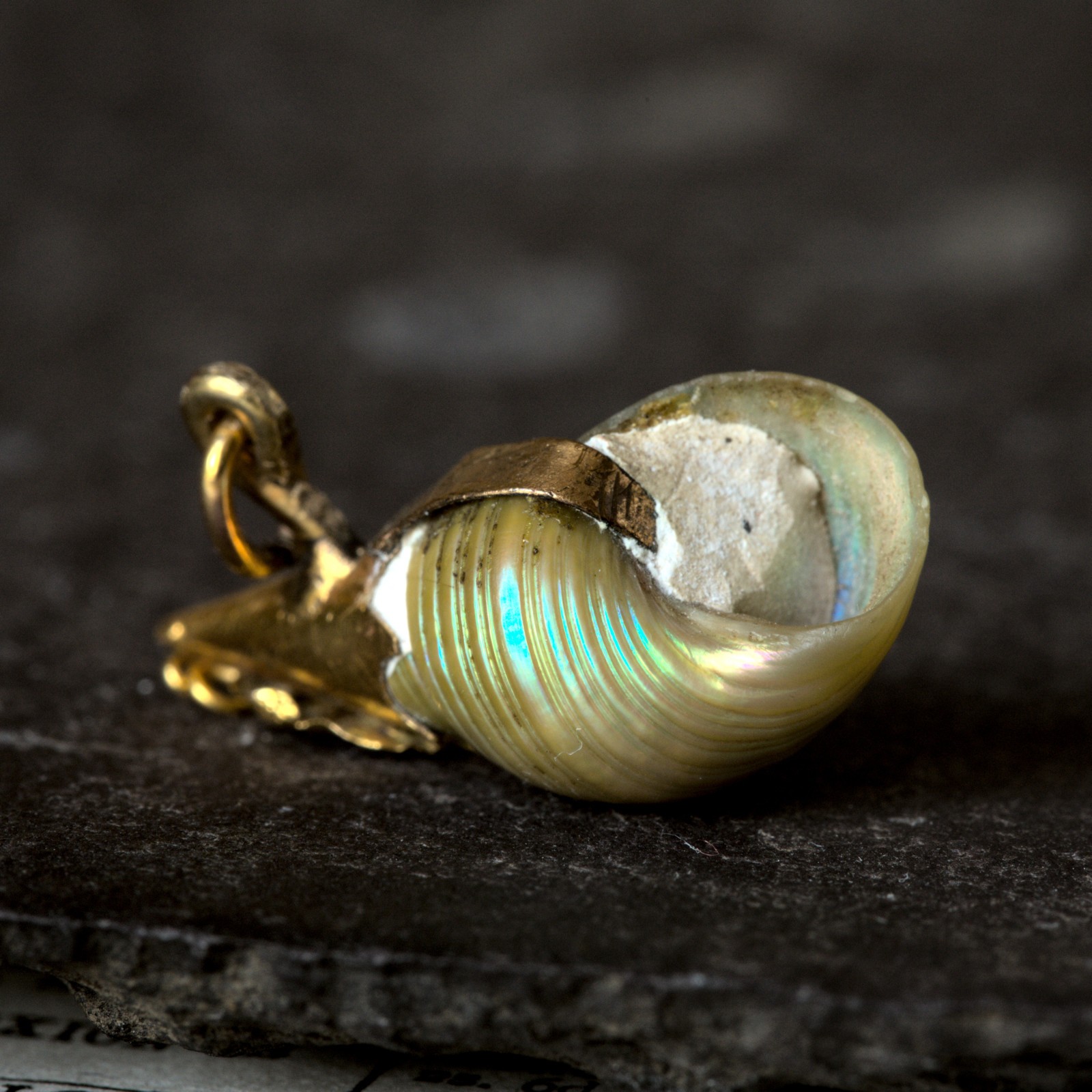 UNUSUAL ANTIQUE VICTORIAN GOLD SPIRAL MAIREENER RAINBOW KELP SHELL CHARM PENDANT