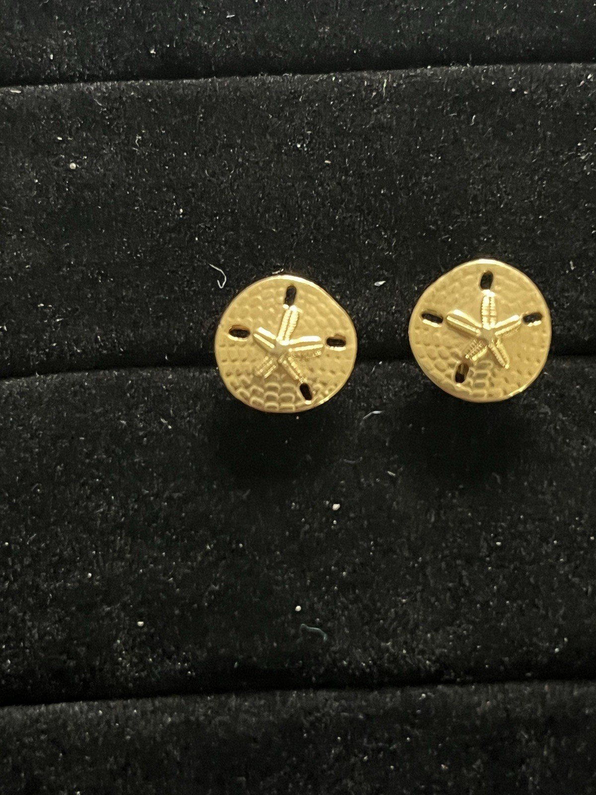 Beach Sand Dollar Gold Tone Star Stud Earrings Vintage Textured Shells Ocean