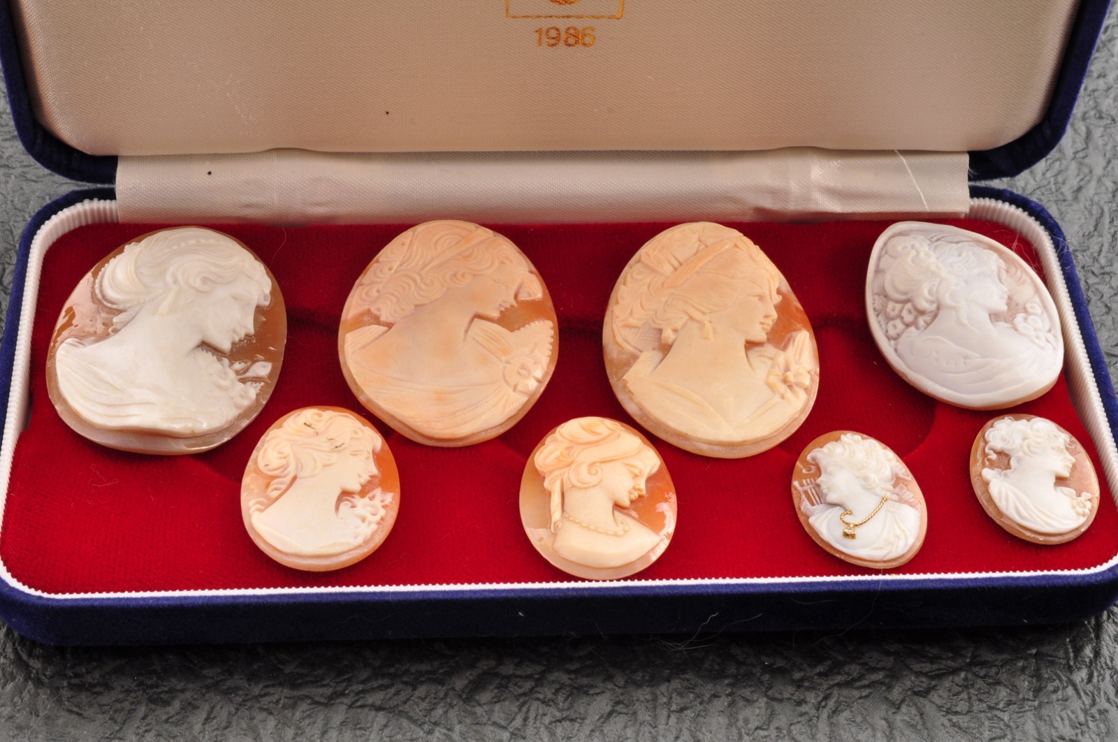 8 items , vintage shell cameo White and brown color (Total 157.5ct) with case.