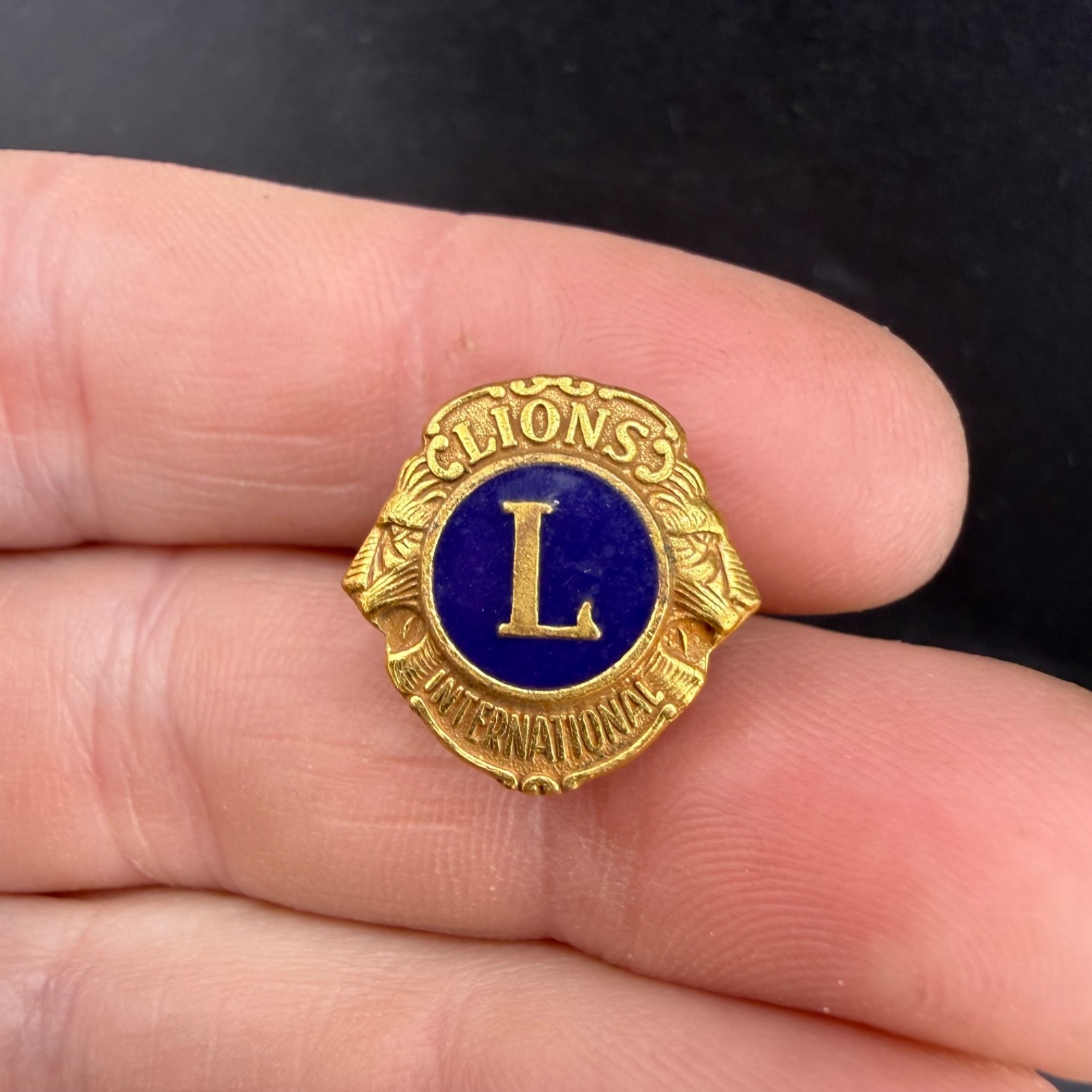 Vintage Lions Pin