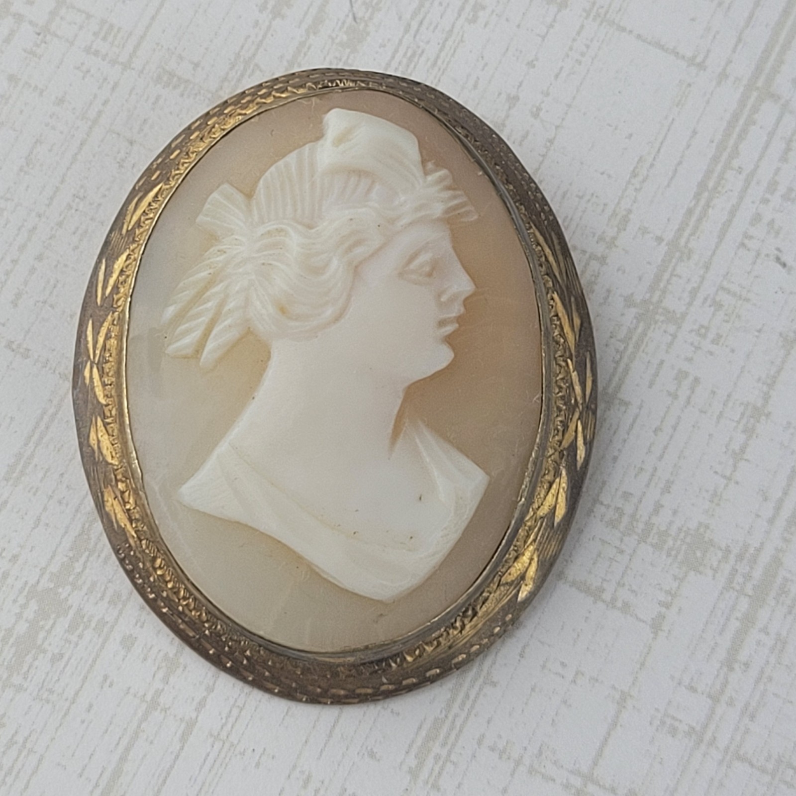 Vintage Cameo Brooch READ