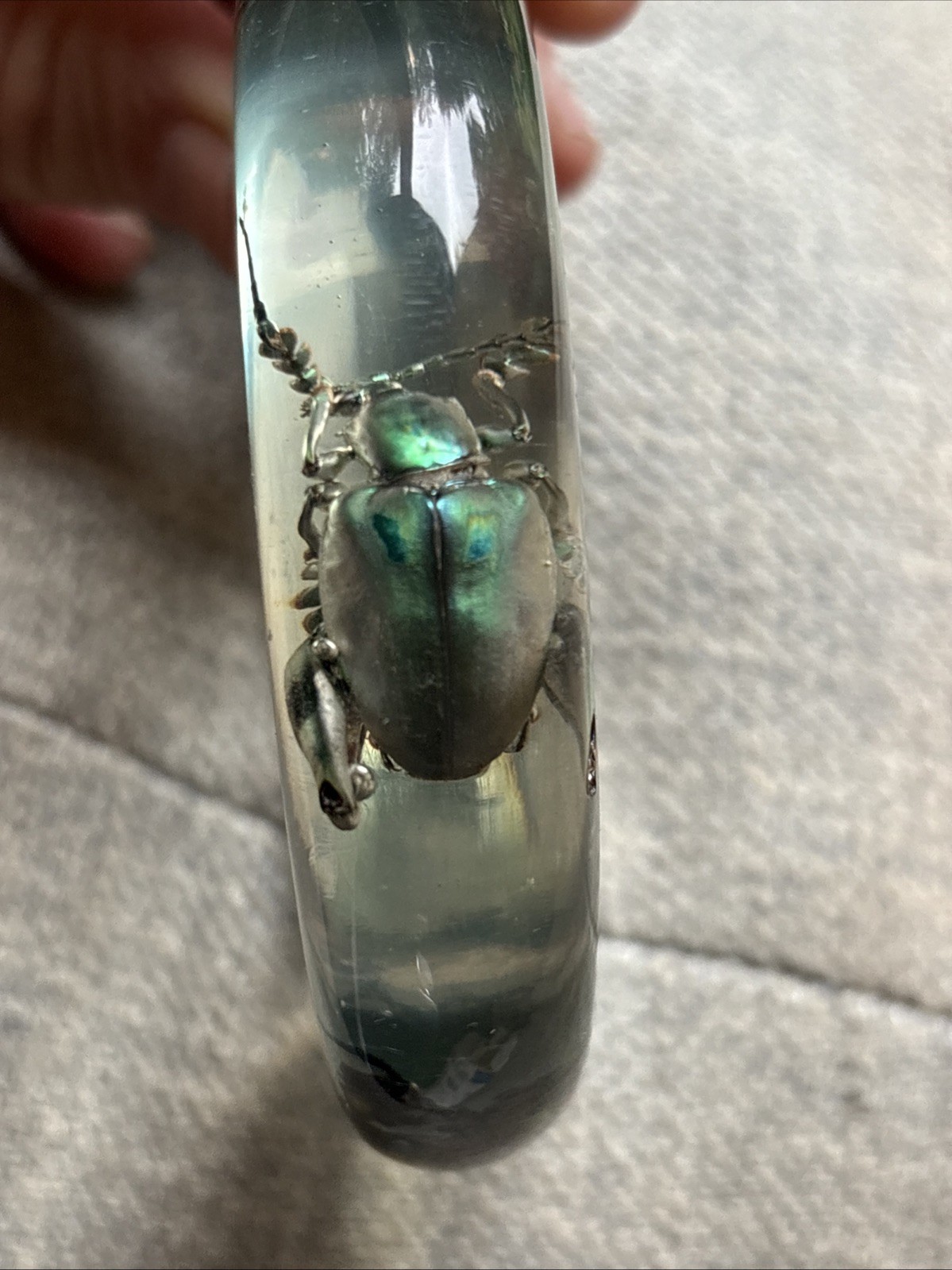 Vtg Metallic Frog Legged Beetle Bracelet Translucent Resin, Med 1960s, NOS (#9)