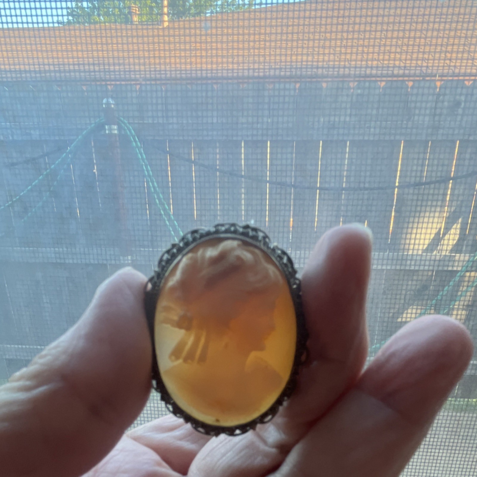 Vintage Hand craved Shell Cameo Brooch and Pin combo with filigree frame