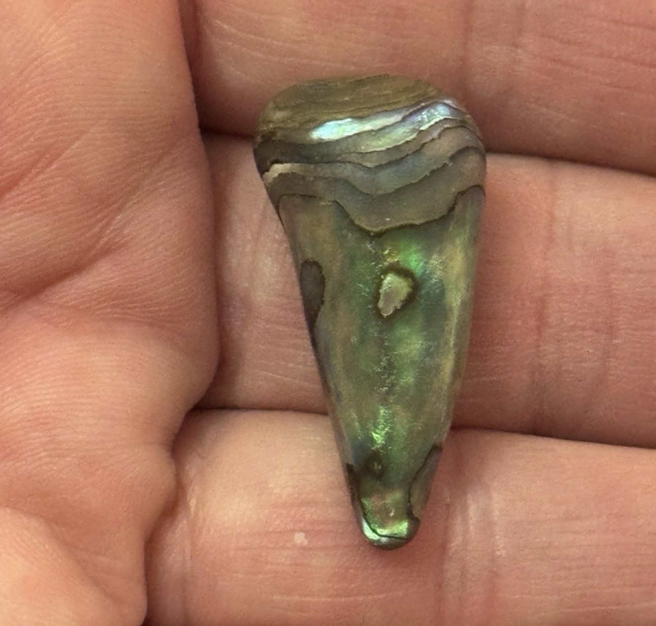 Rare Beautiful Exquisite Abalone Pearl found In Ocean In American Samoa