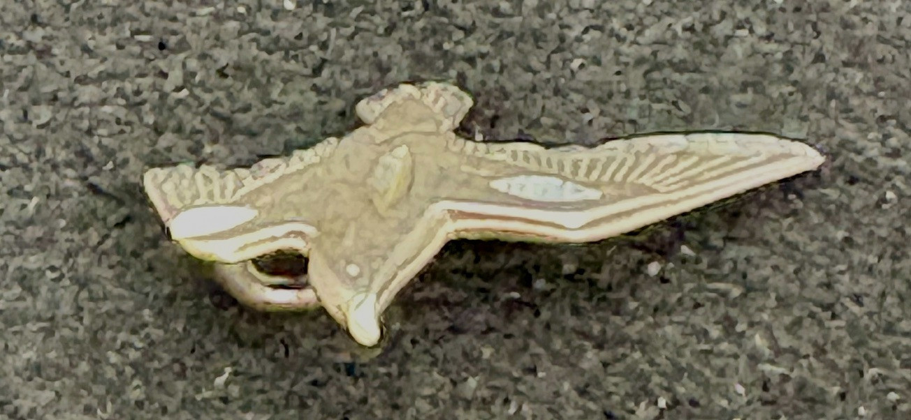 Sterling Silver Flying Bird Charm 1″ Vintage 1.1Grams Marked Sterling