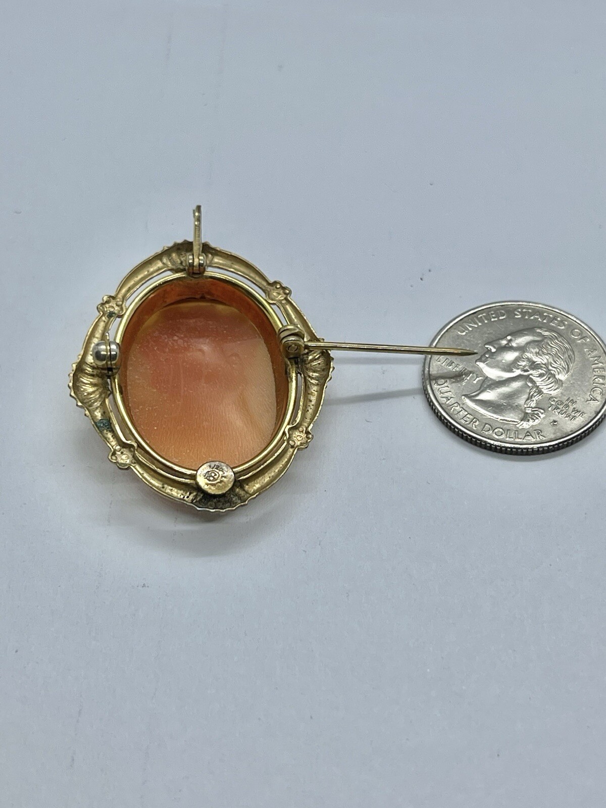 Vintage Gold Filled Carved Shell Lady CAMEO Left Facing Ornate Frame Brooch