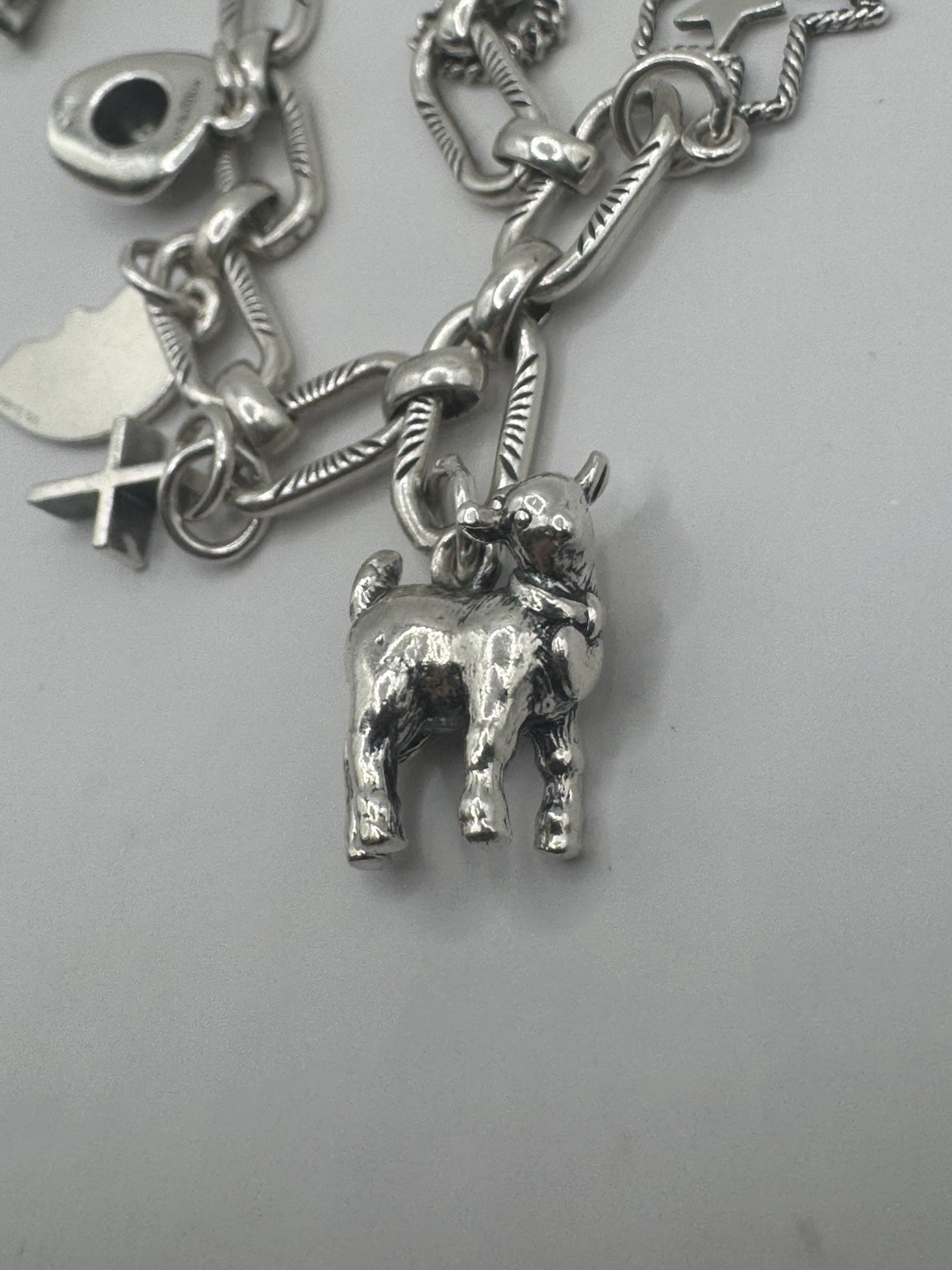 James Avery 7” Ornate Link Charm Bracelet with 8 Charms – 🤠 Western Flare!