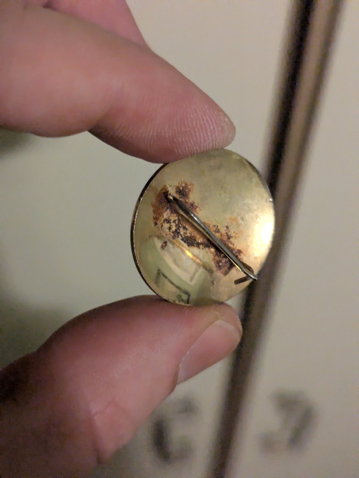 Bronze Colored Pin