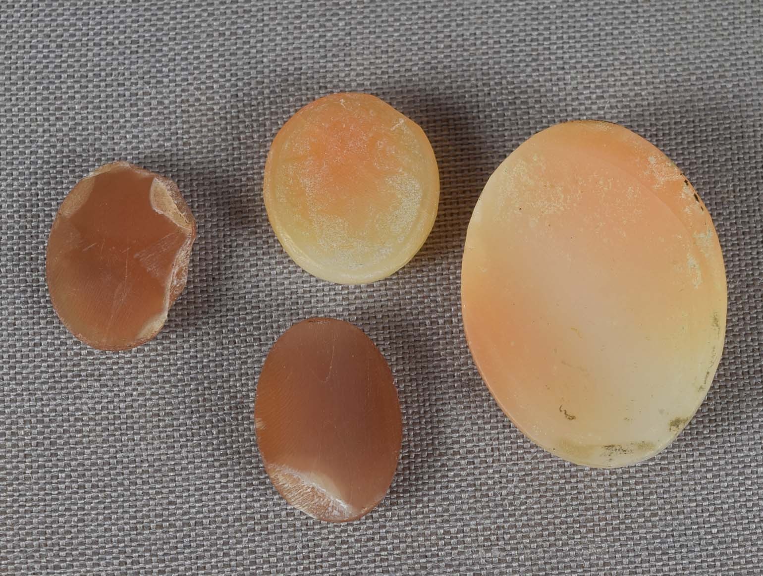 4 vintage SHELL CAMEOS